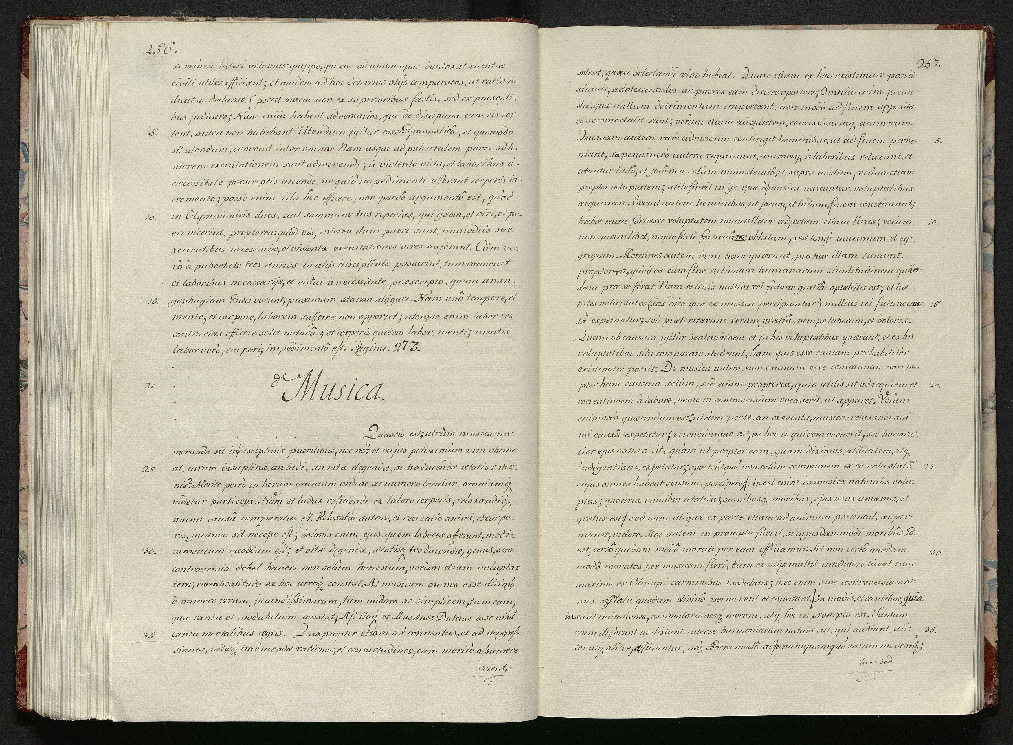 1_335_0_0_119-1_0131