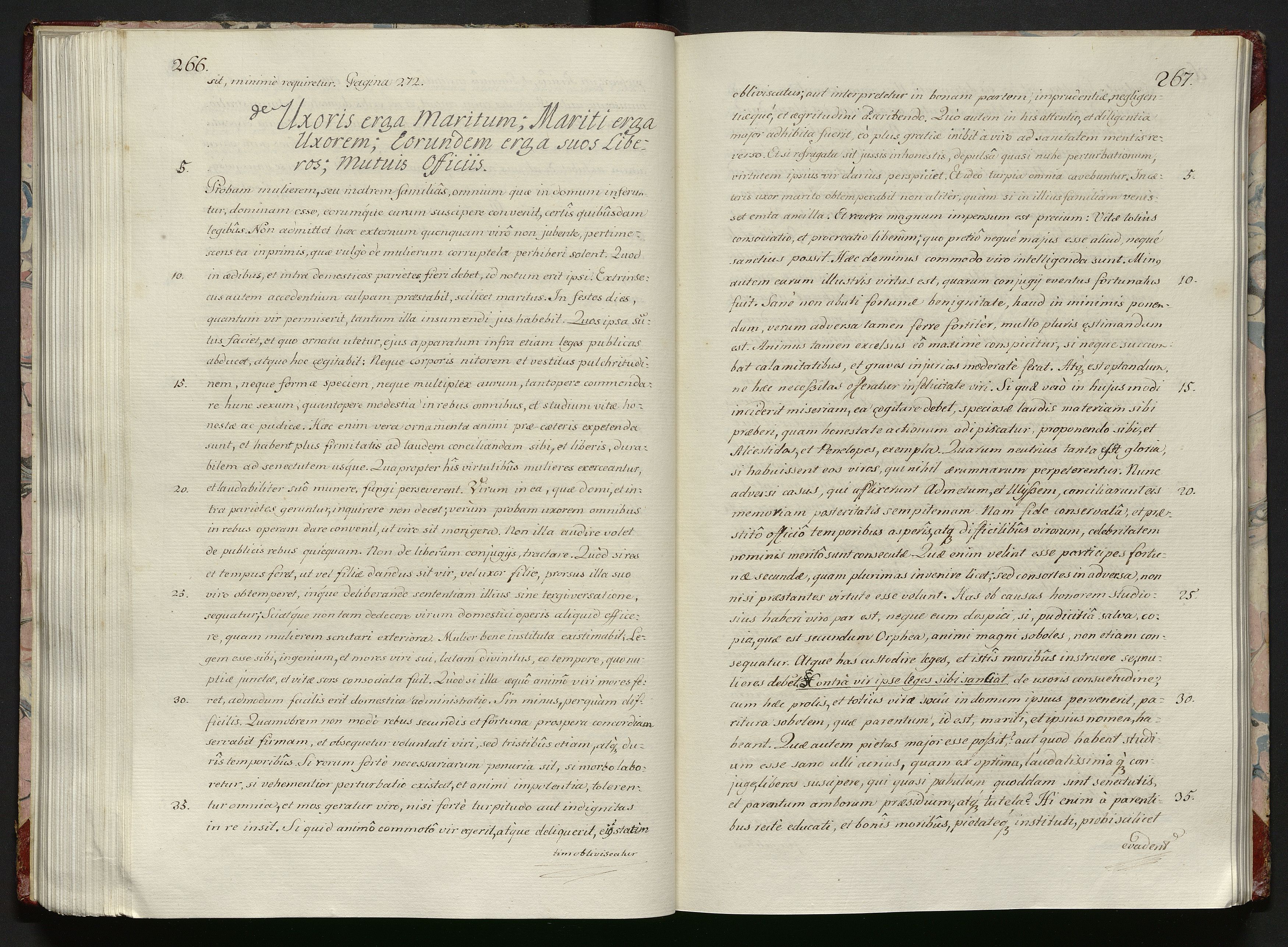 1_335_0_0_119-1_0136