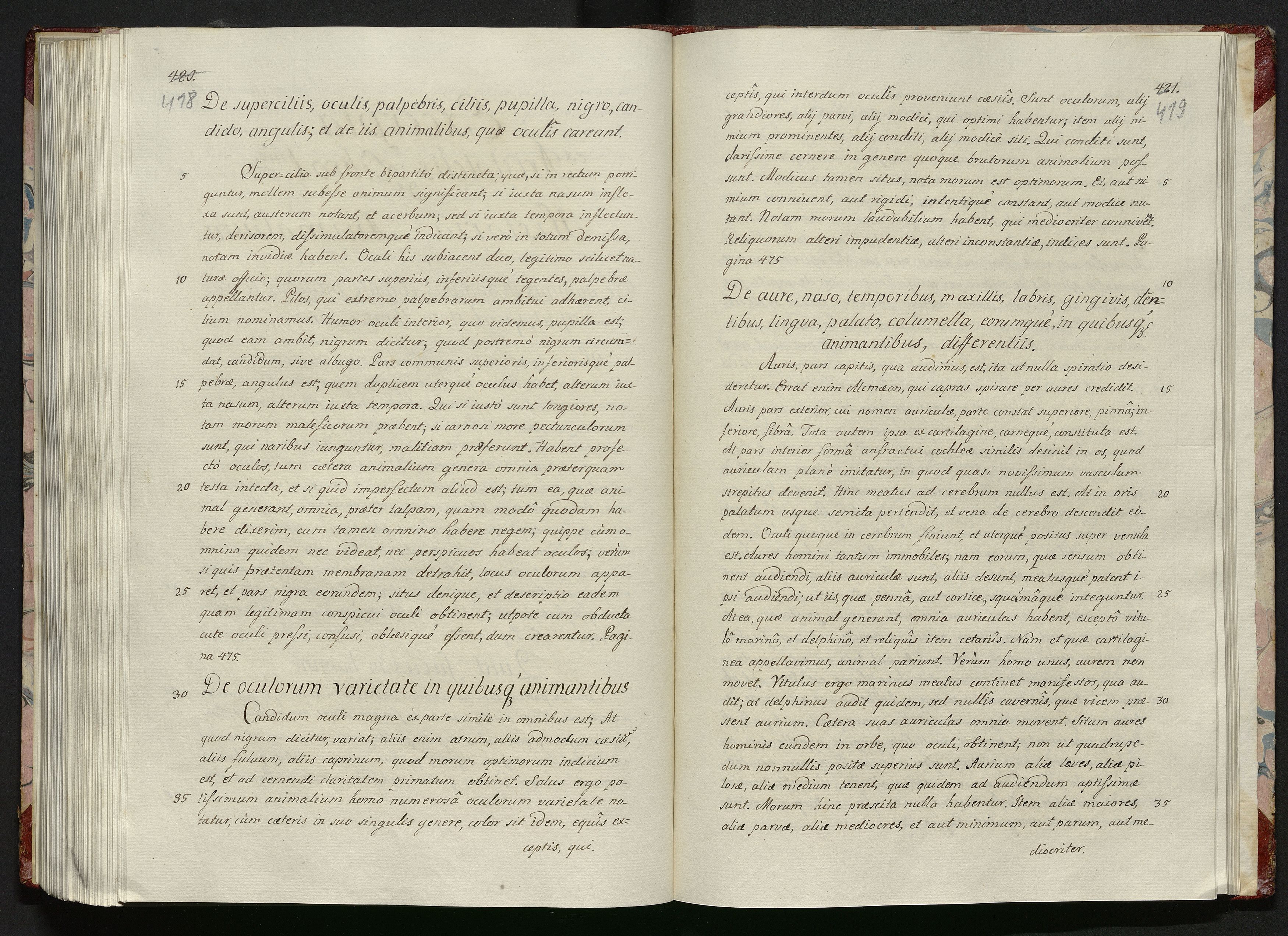 1_335_0_0_119-1_0212