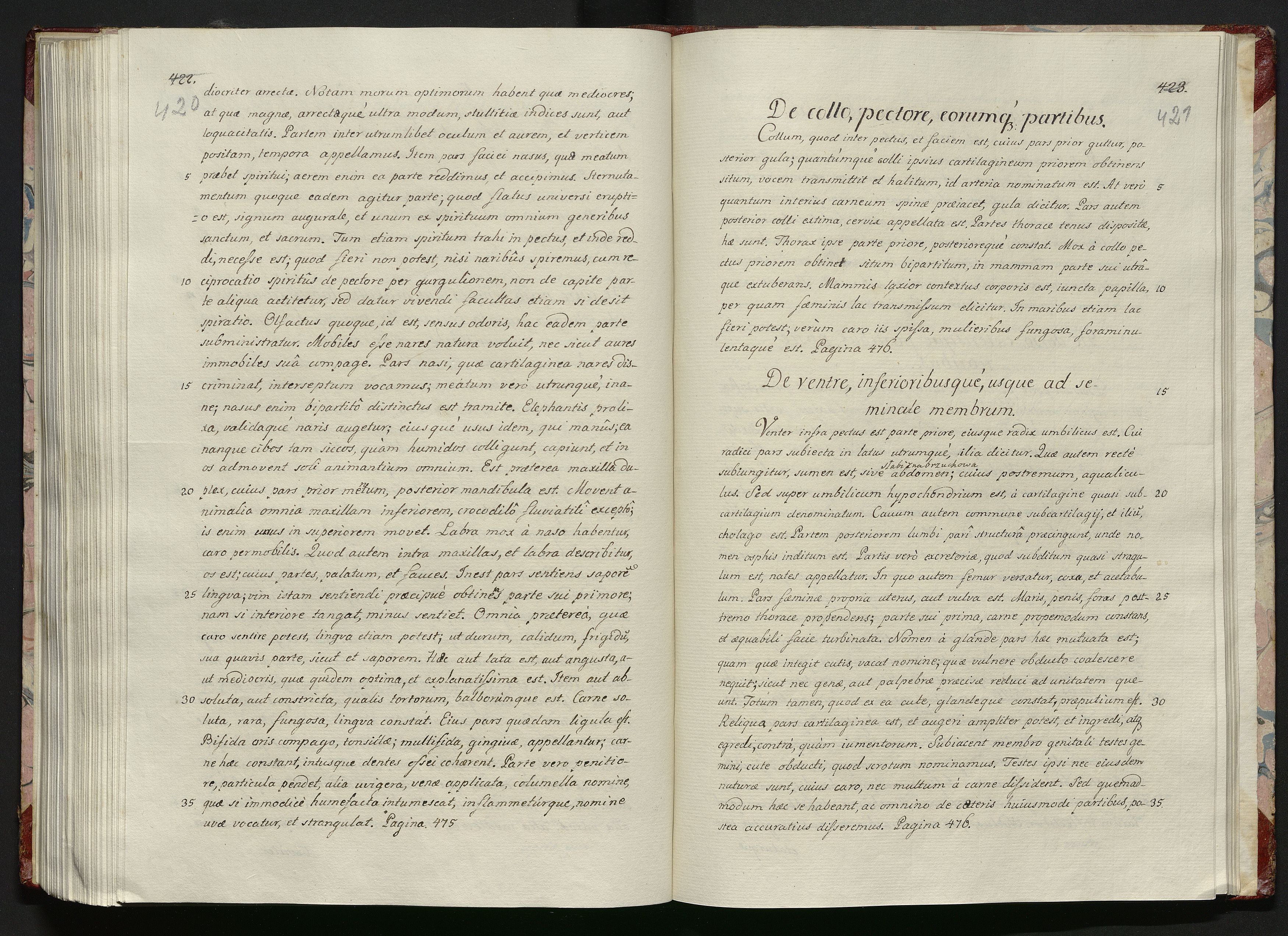 1_335_0_0_119-1_0213