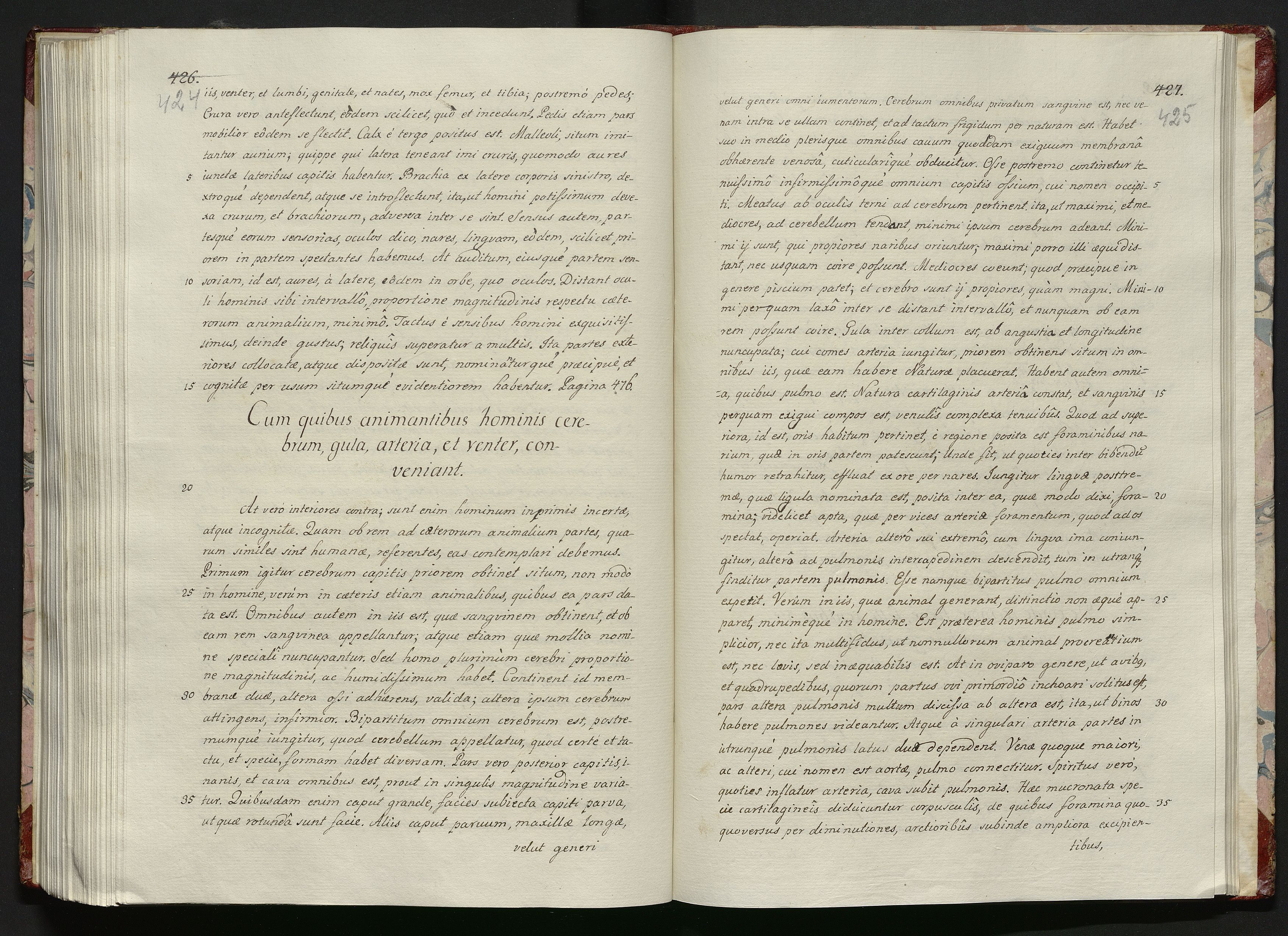 1_335_0_0_119-1_0215