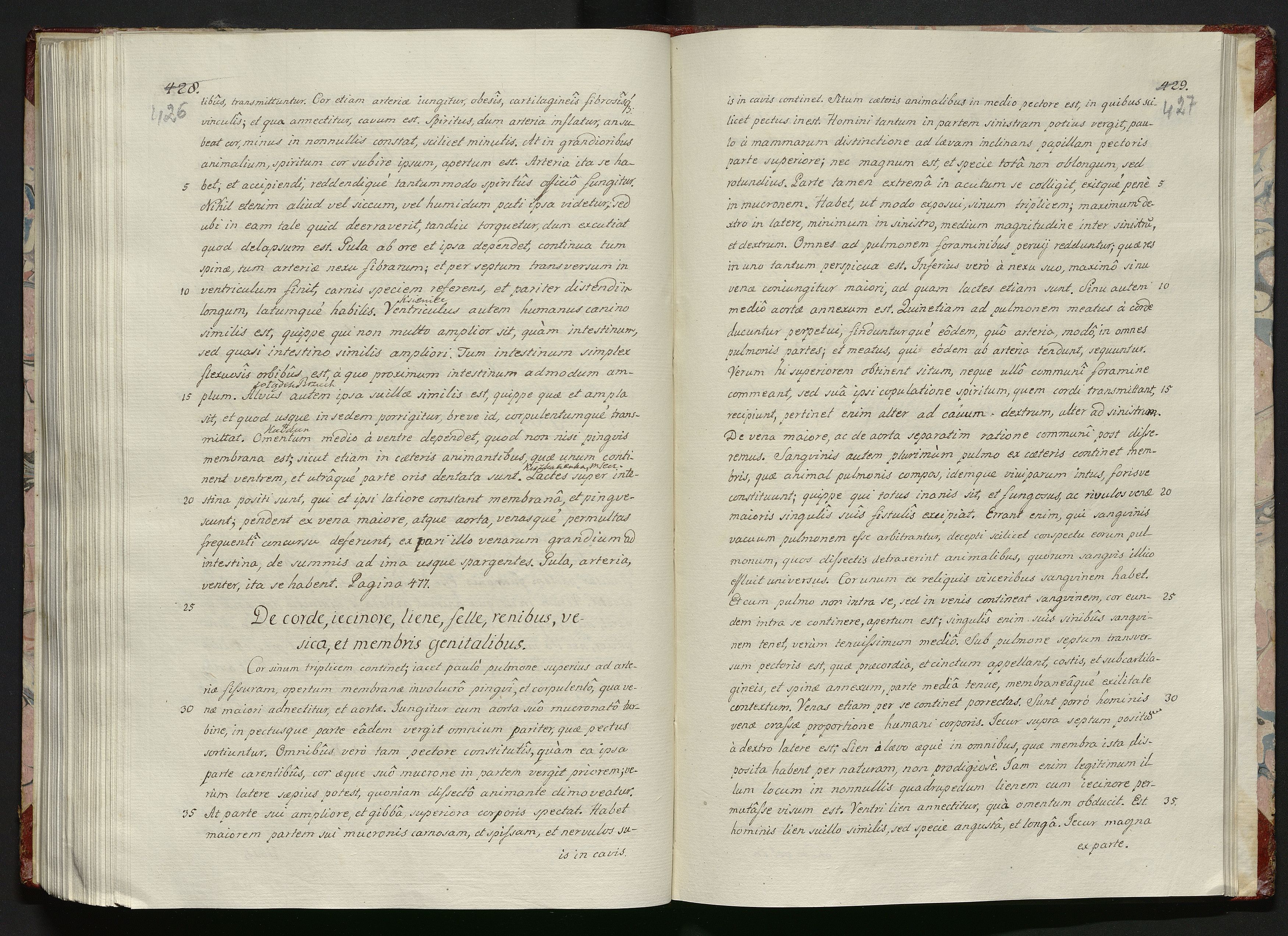 1_335_0_0_119-1_0216