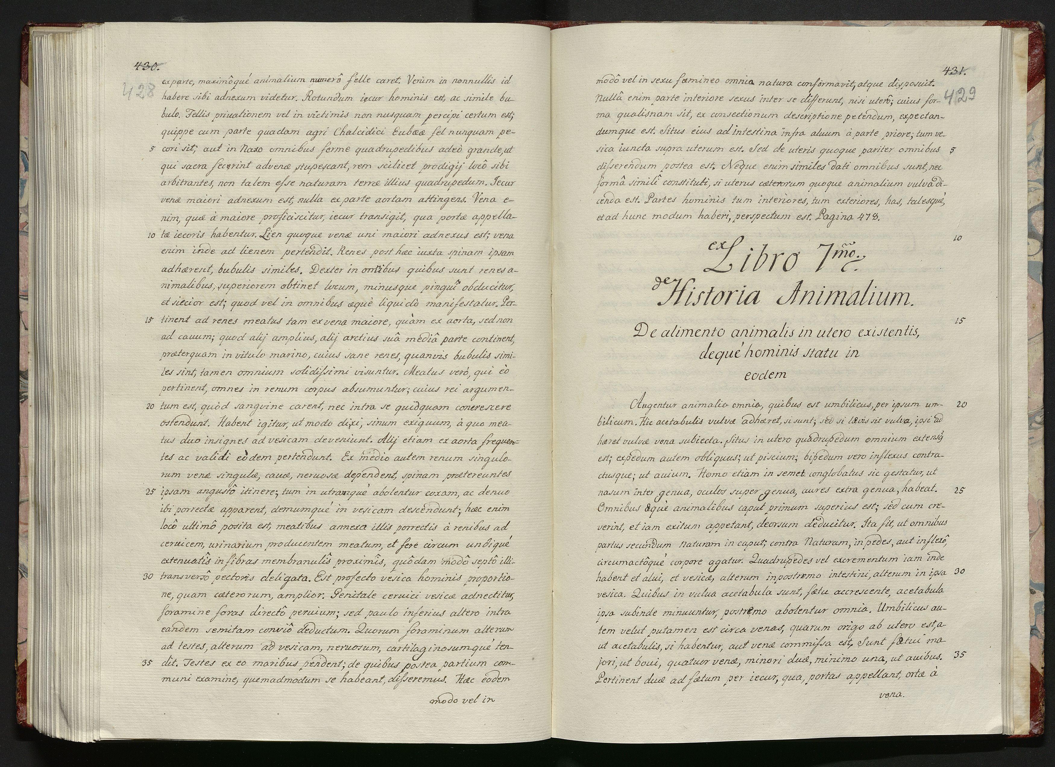 1_335_0_0_119-1_0217