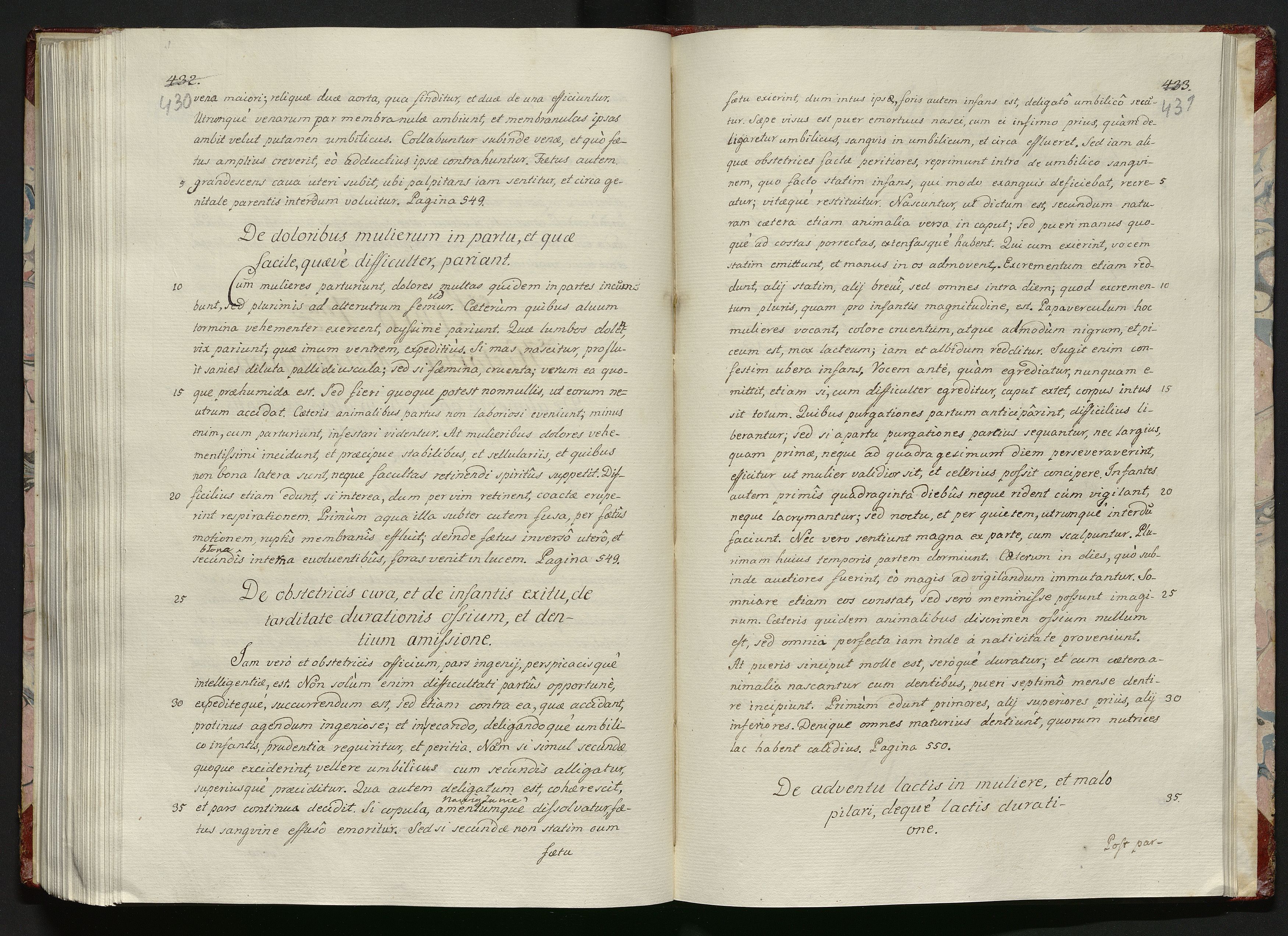 1_335_0_0_119-1_0218