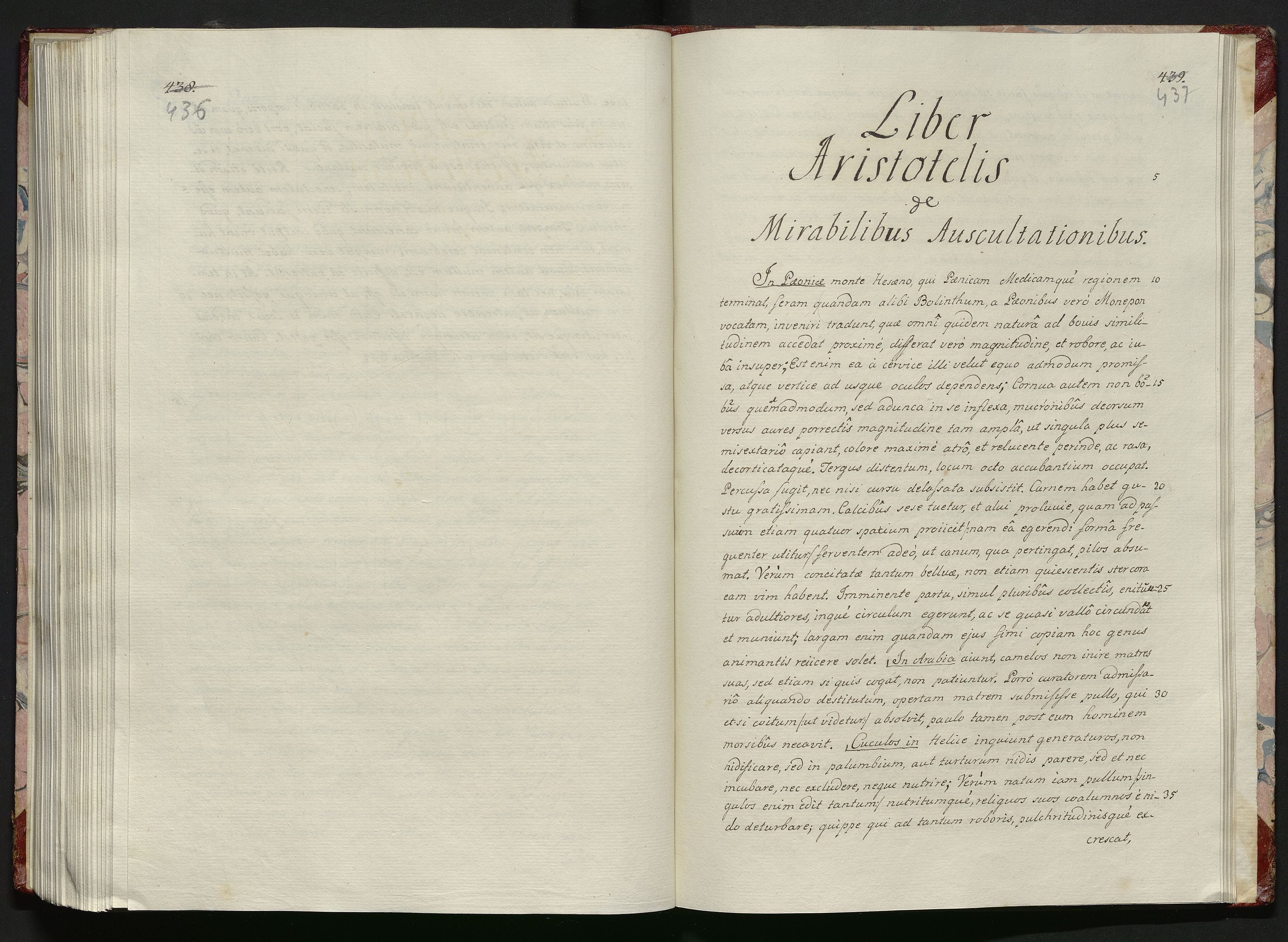 1_335_0_0_119-1_0221