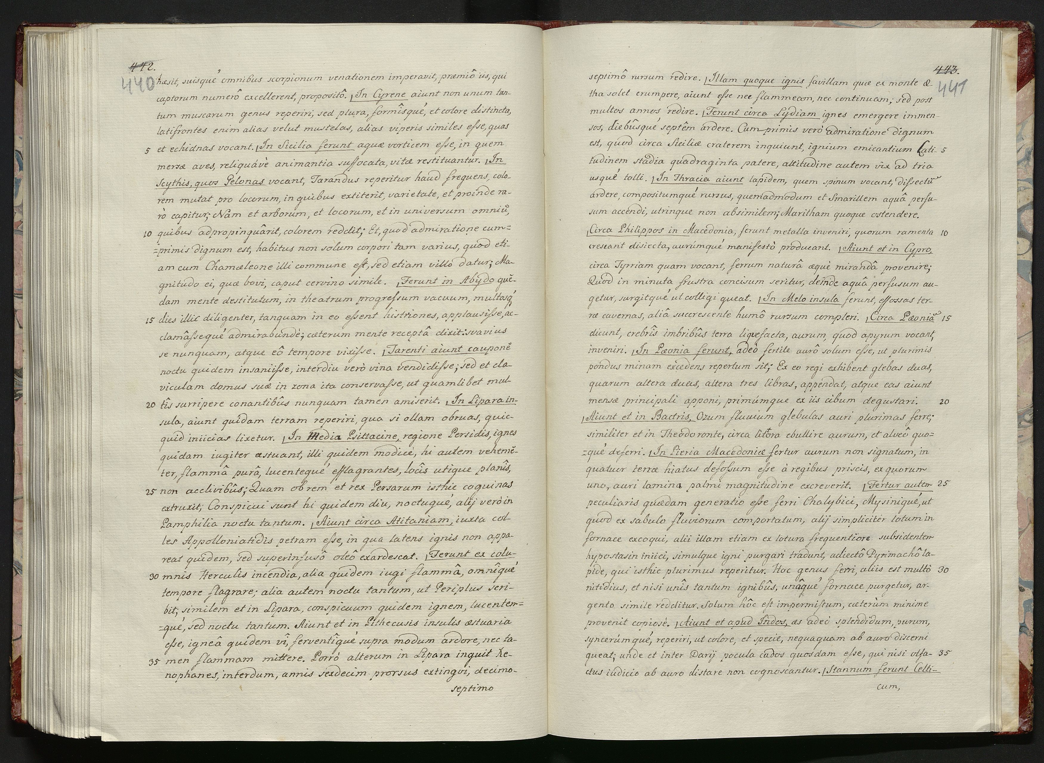 1_335_0_0_119-1_0223