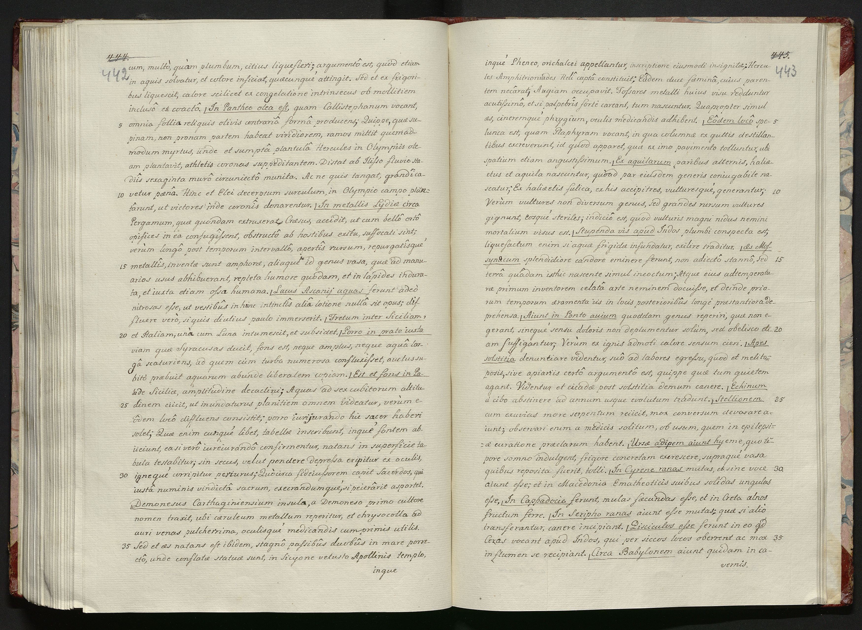 1_335_0_0_119-1_0224