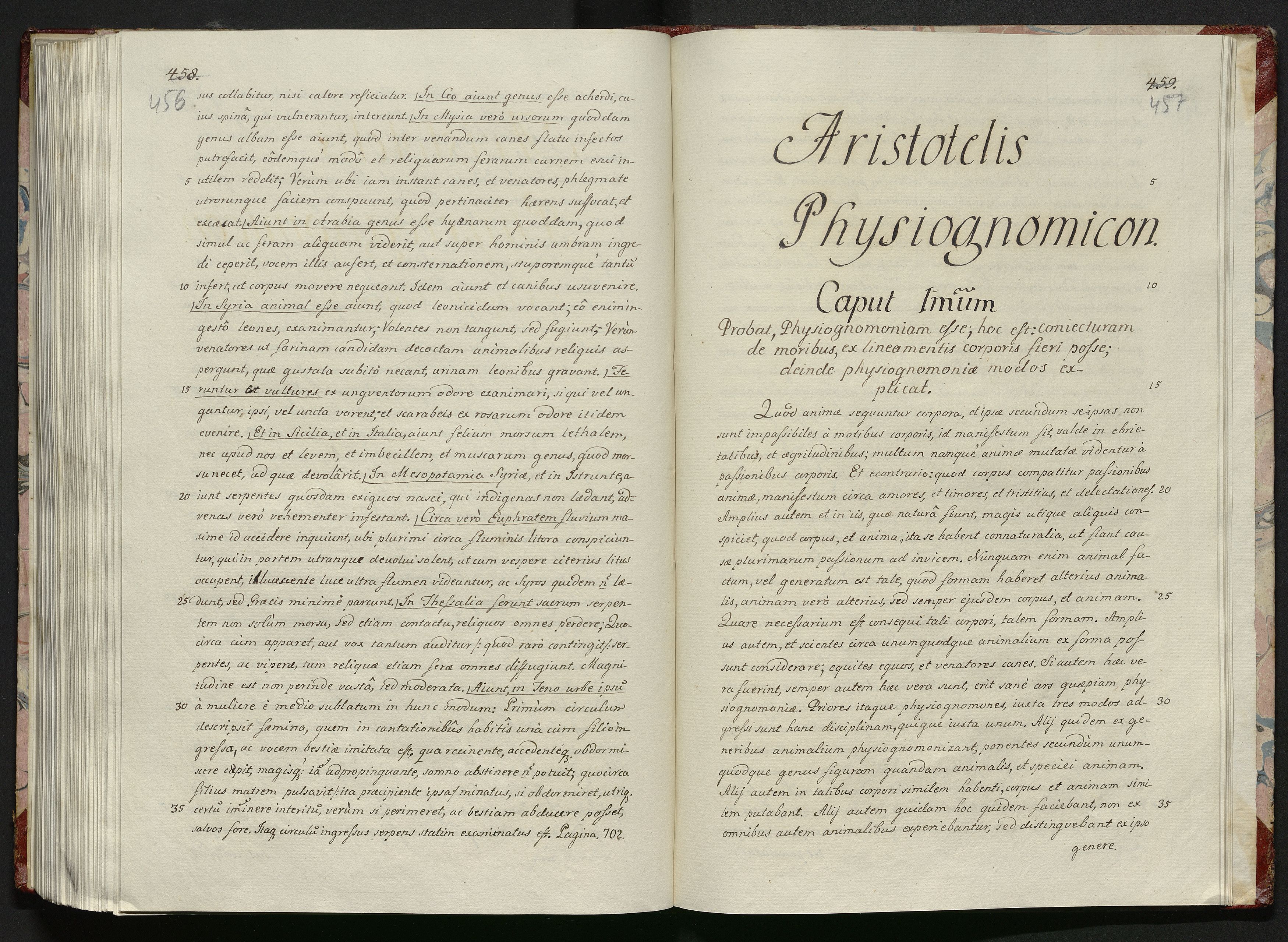 1_335_0_0_119-1_0231