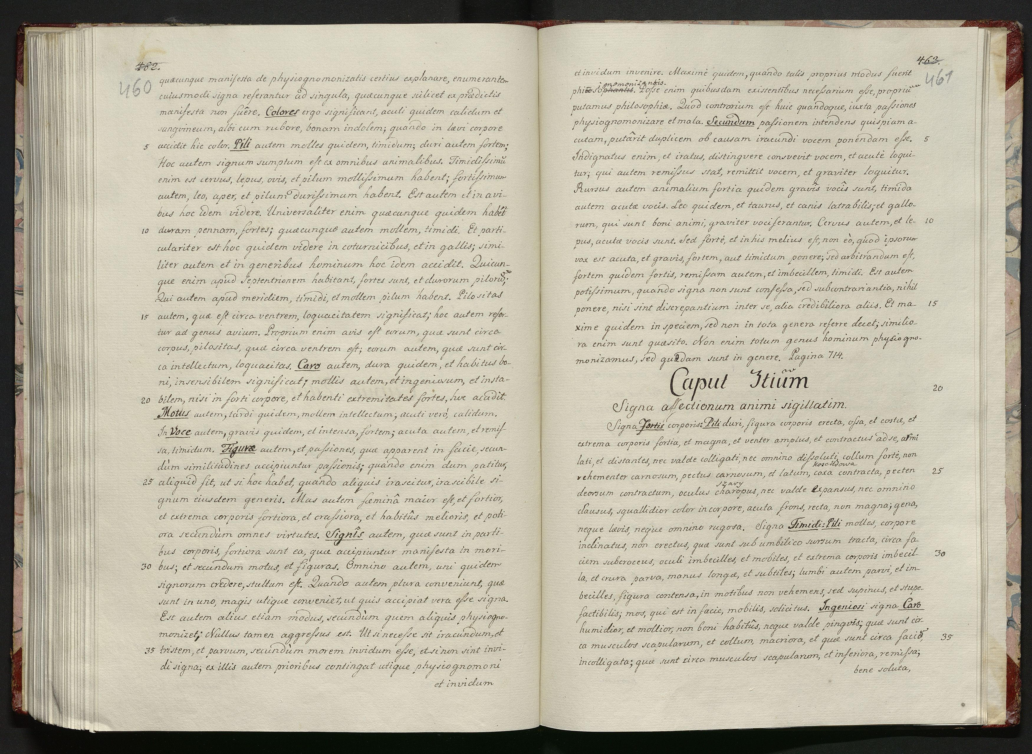 1_335_0_0_119-1_0233