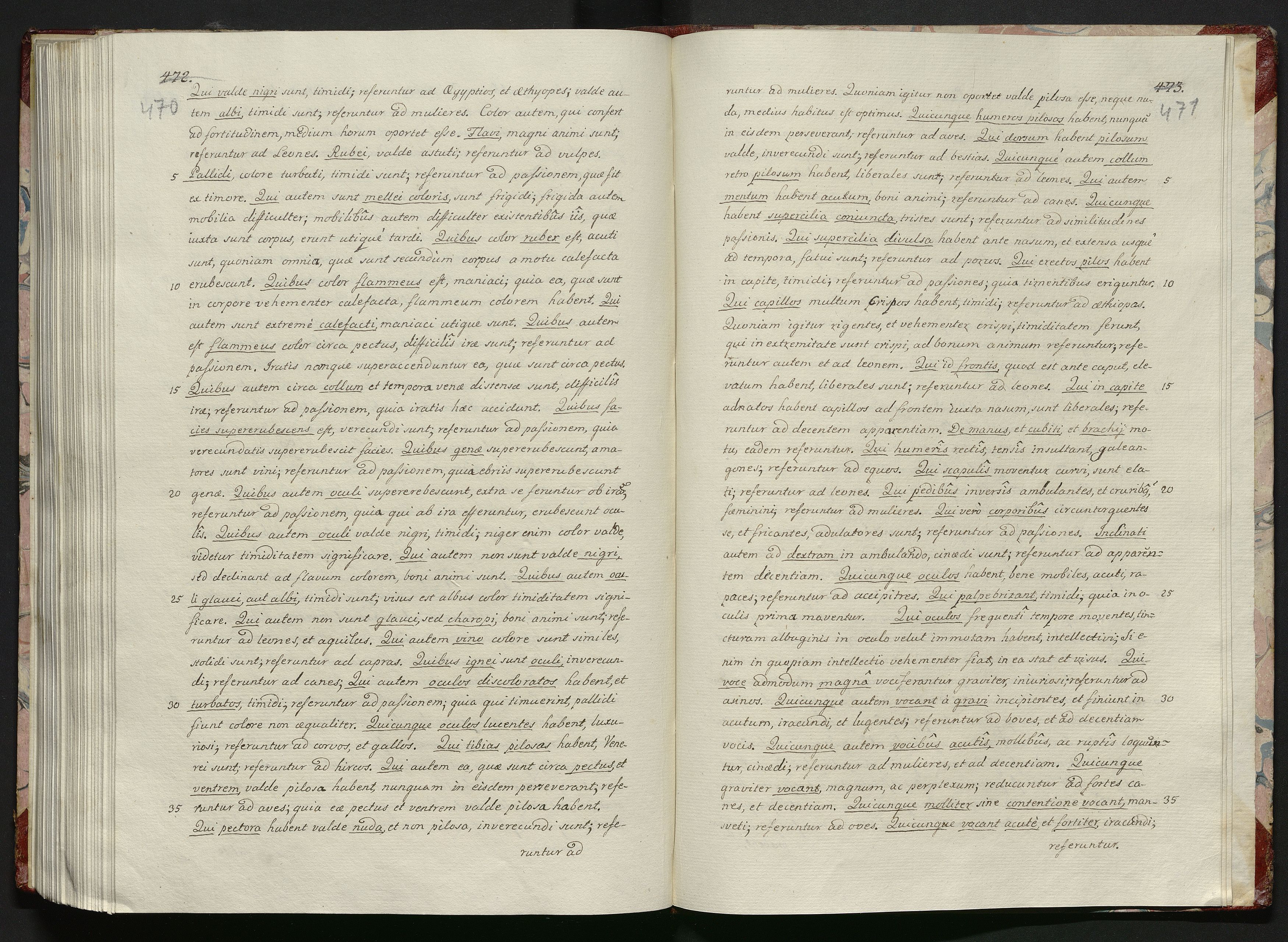 1_335_0_0_119-1_0238