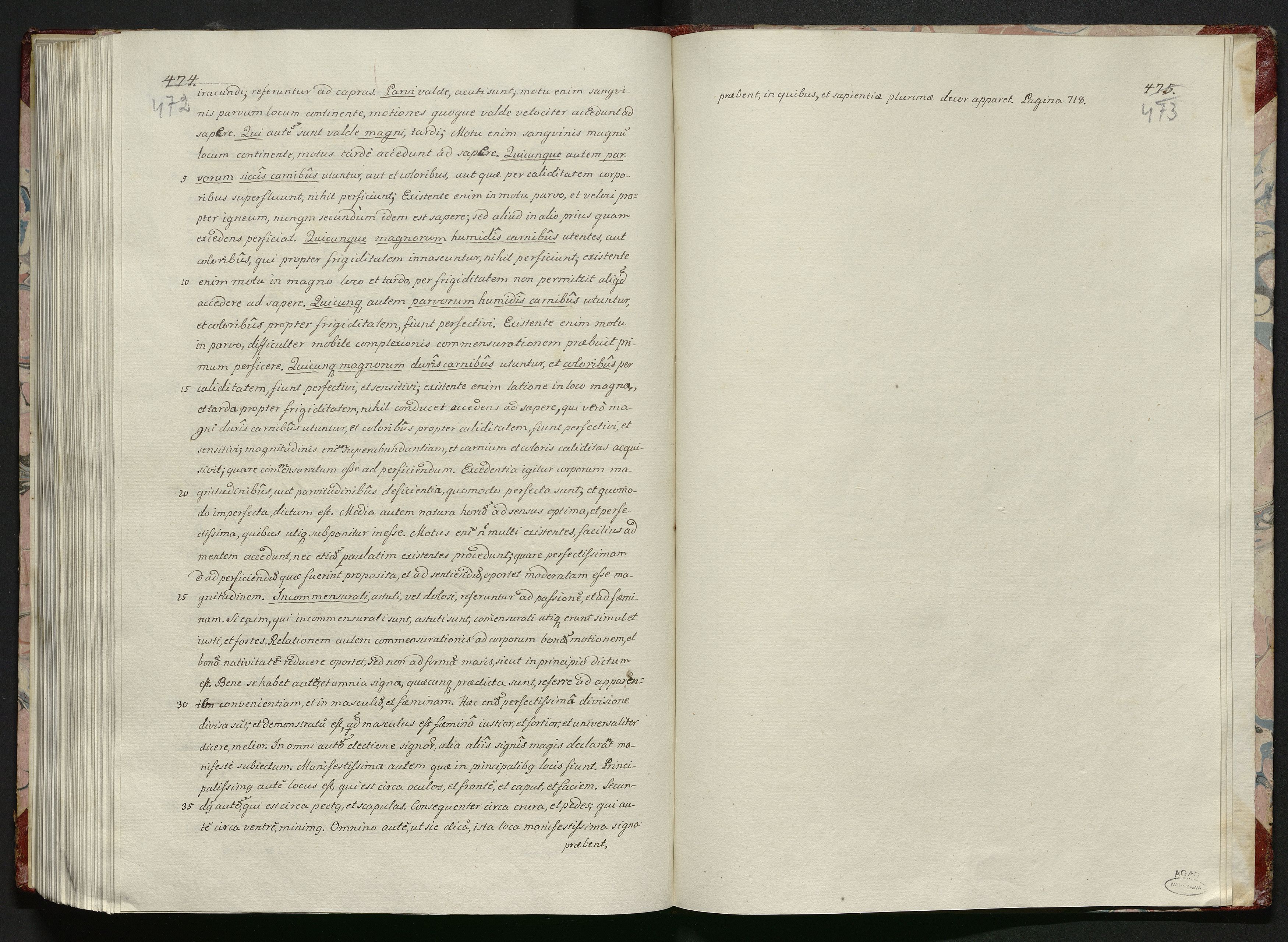 1_335_0_0_119-1_0239