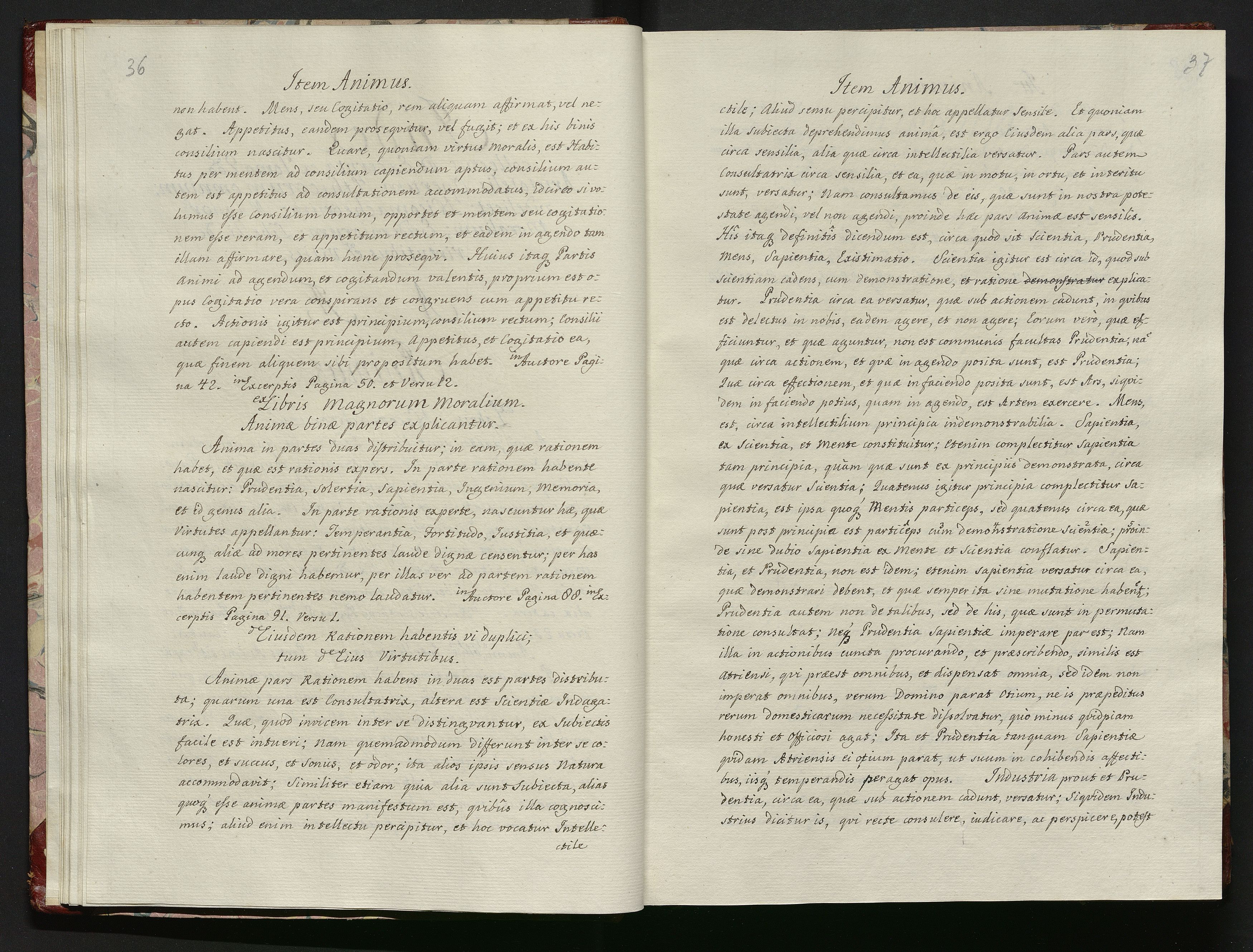 1_335_0_0_119-2_0021