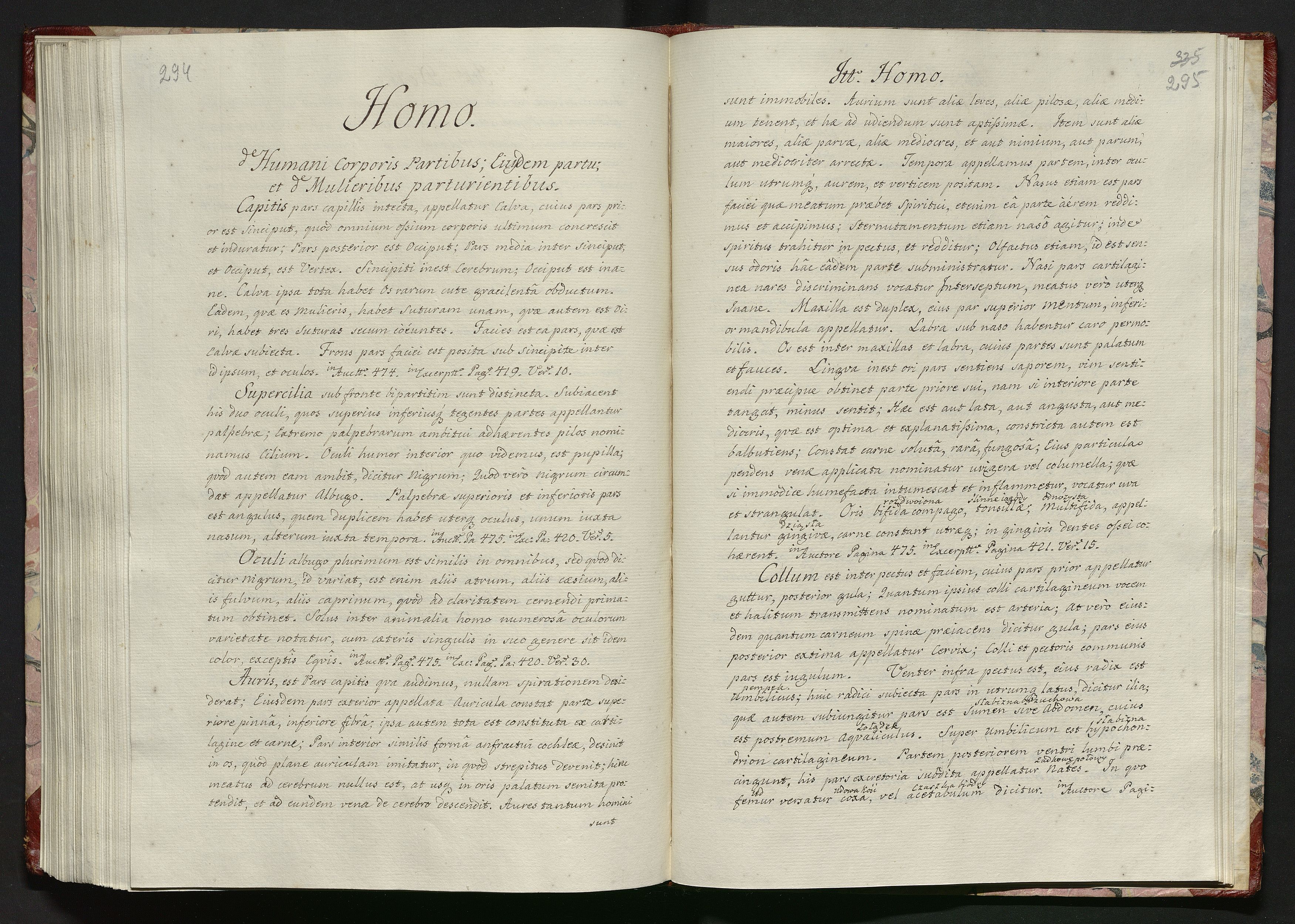 1_335_0_0_119-2_0153