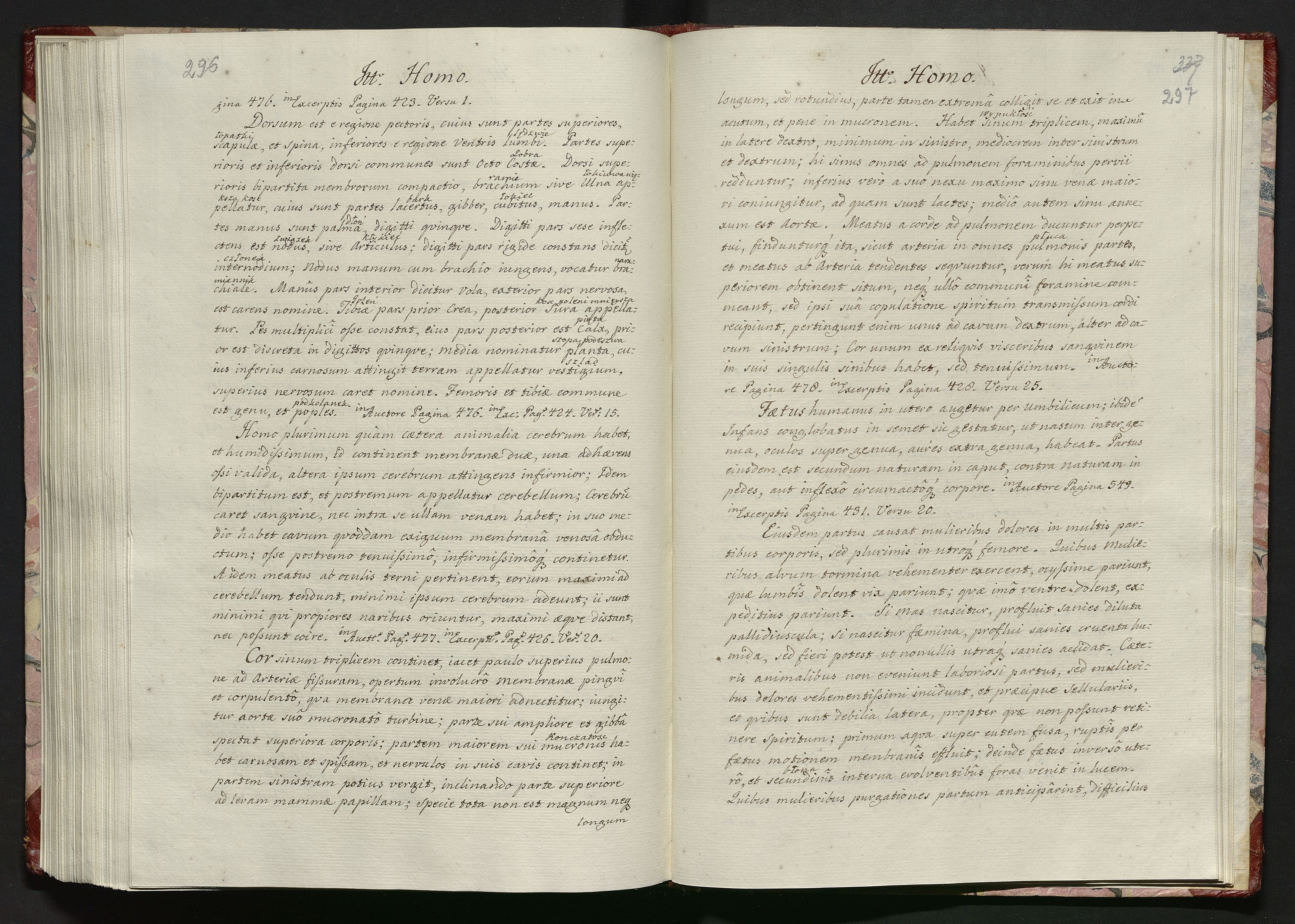 1_335_0_0_119-2_0154