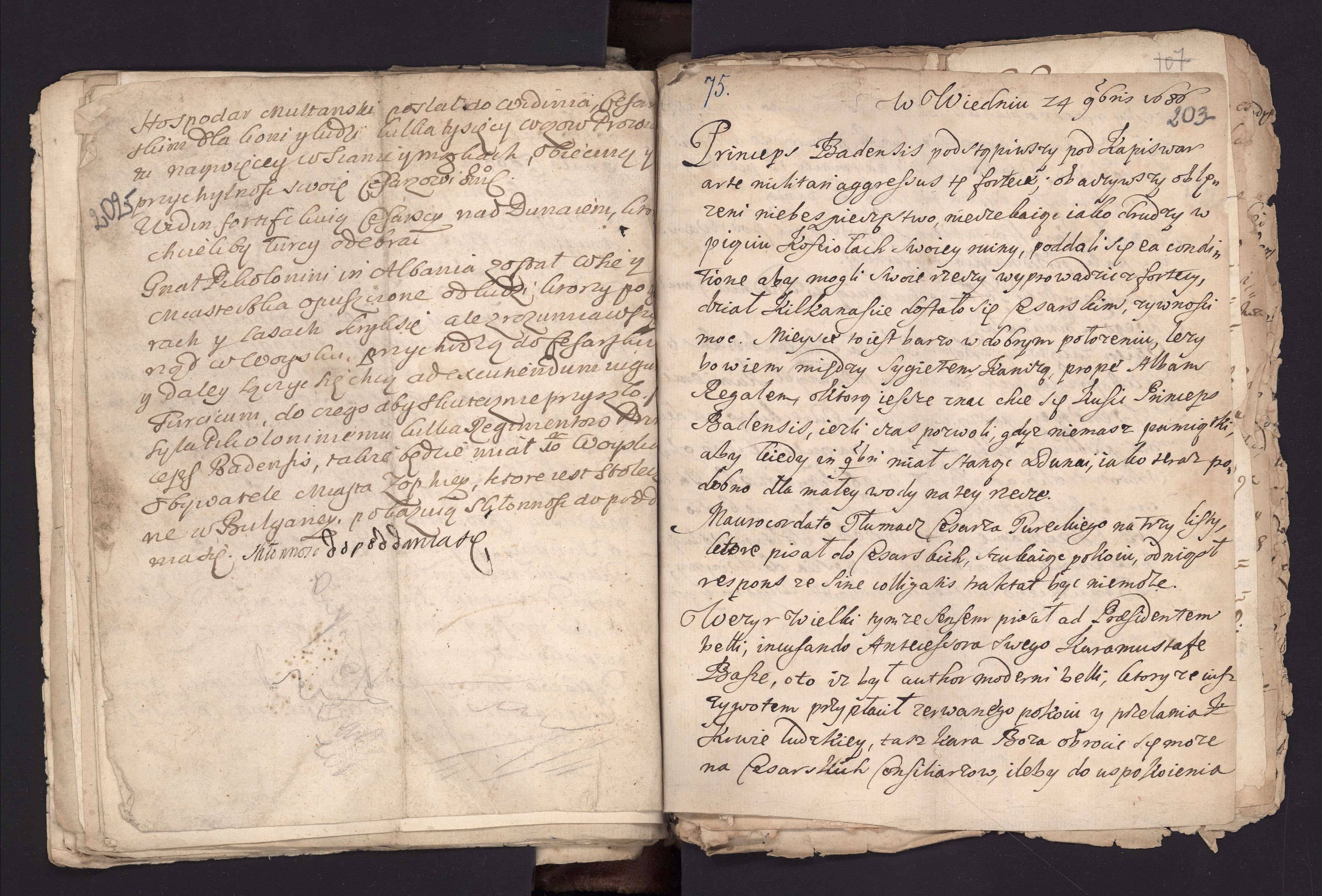 1_335_0_0_162-1_0103