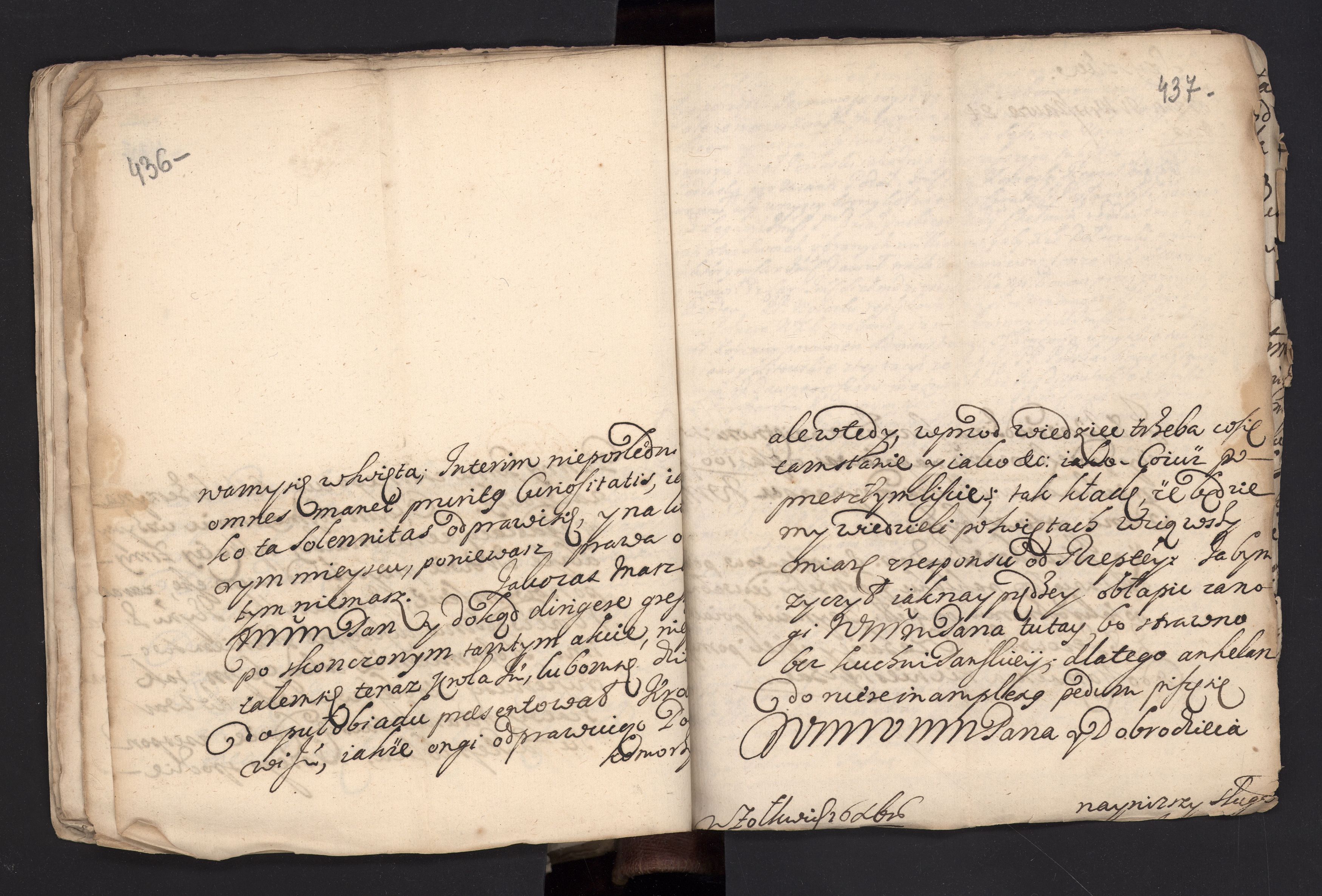 1_335_0_0_162-1_0217