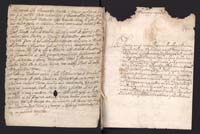 1_335_0_0_162-1_0137