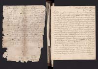 1_335_0_0_162-2_0006