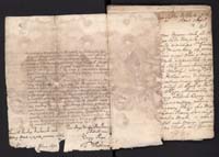 1_335_0_0_162-2_0009