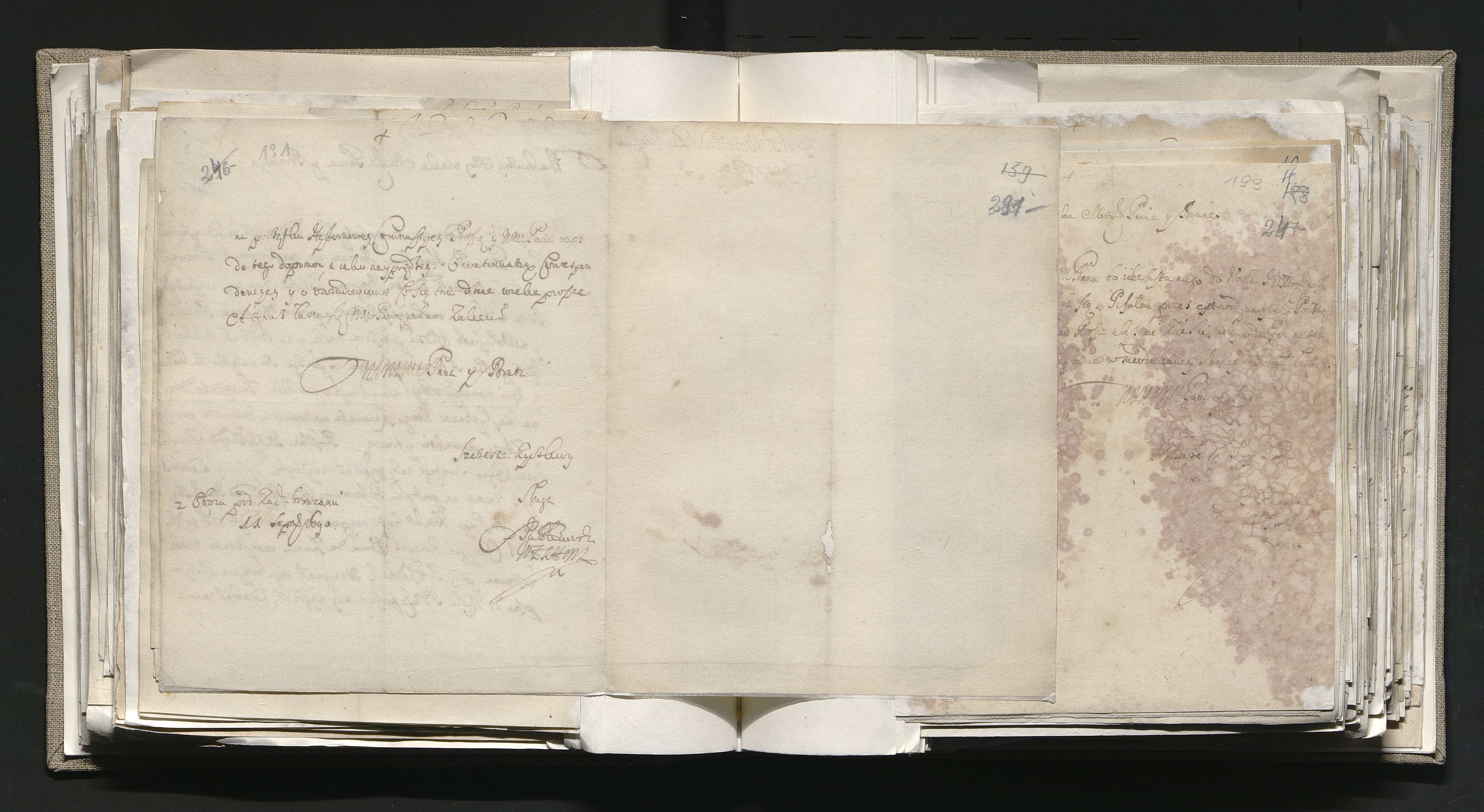 1_335_0_0_163-1_0121