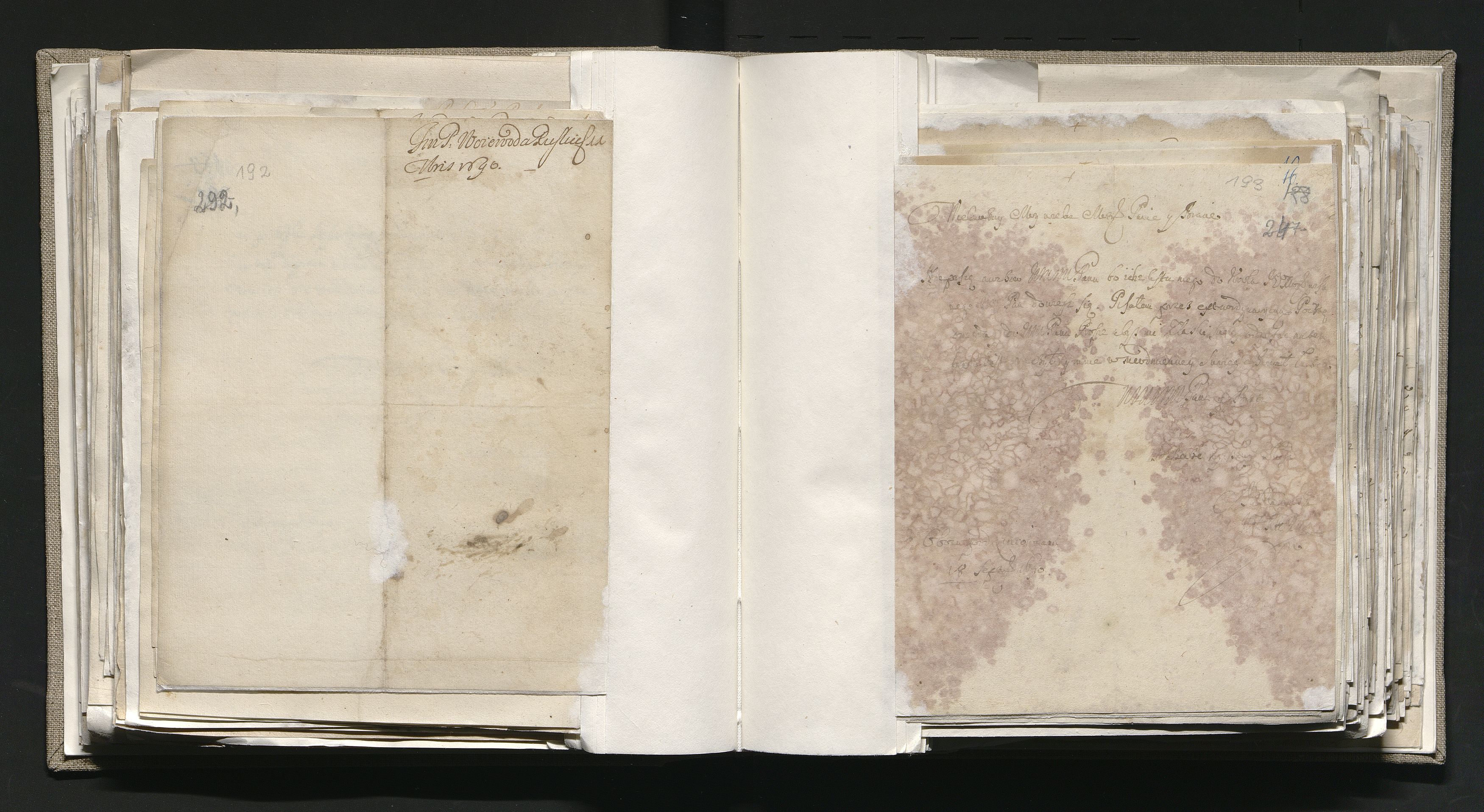 1_335_0_0_163-1_0122