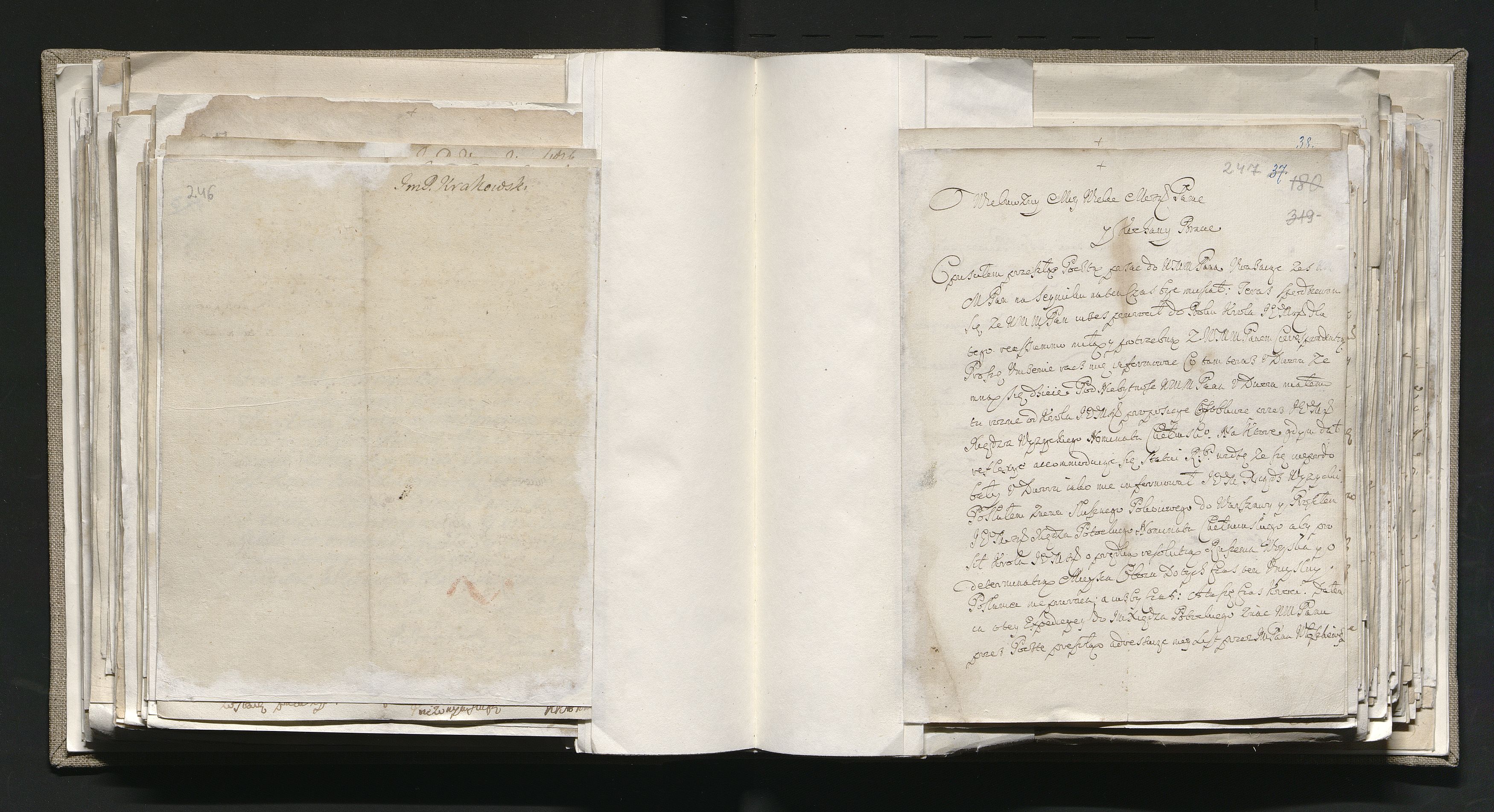 1_335_0_0_163-1_0154