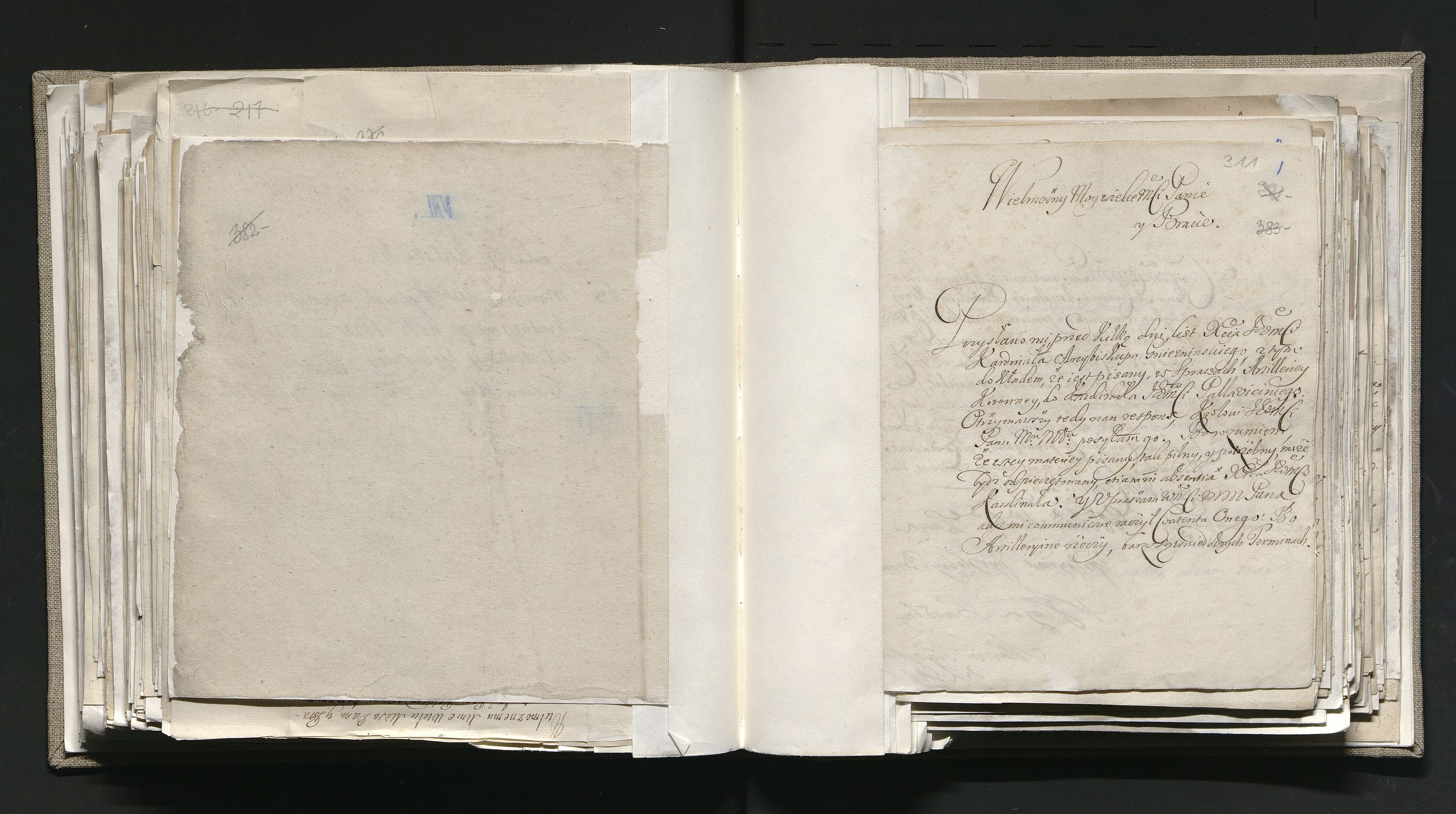 1_335_0_0_163-1_0190