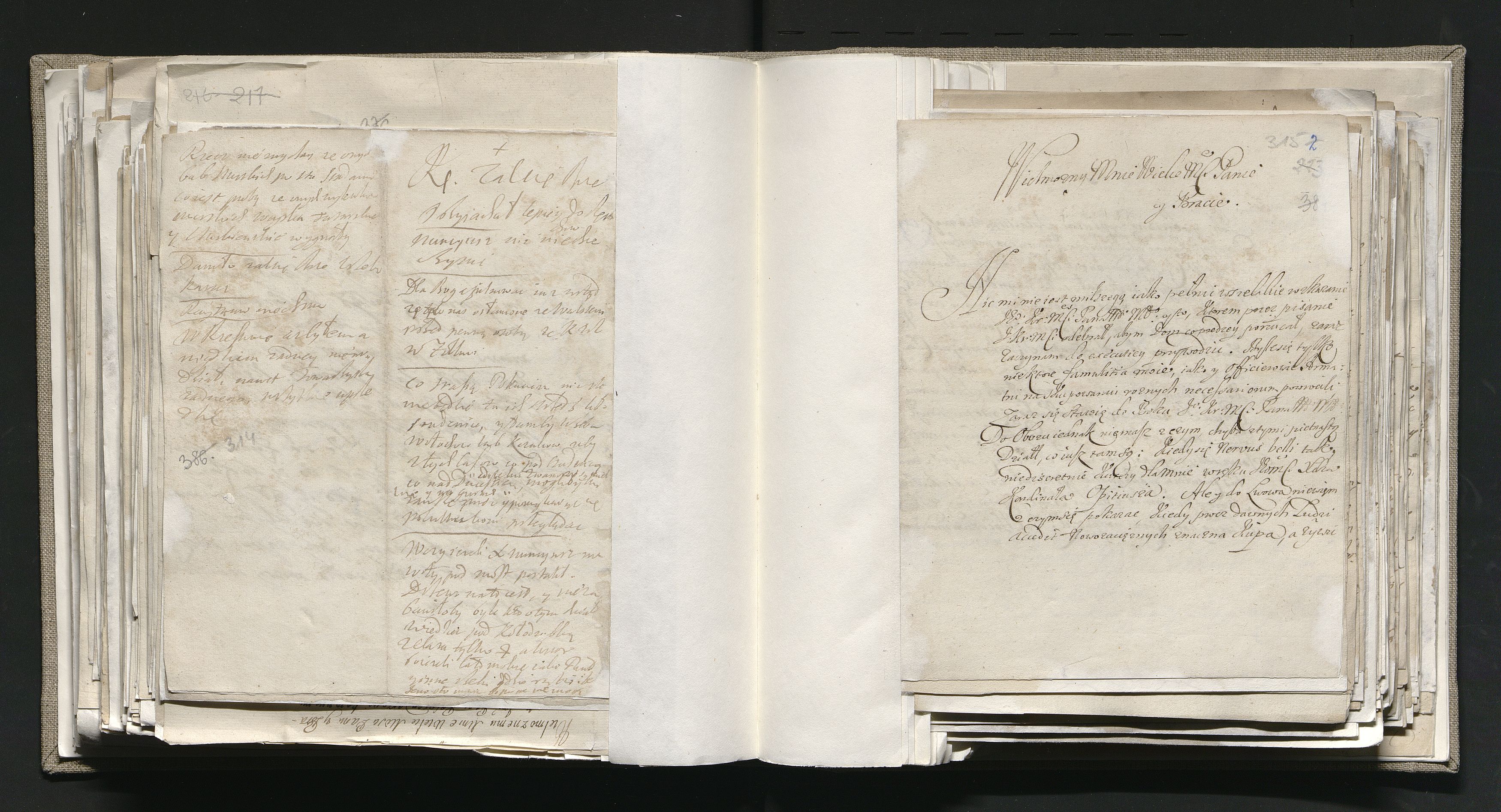 1_335_0_0_163-1_0192