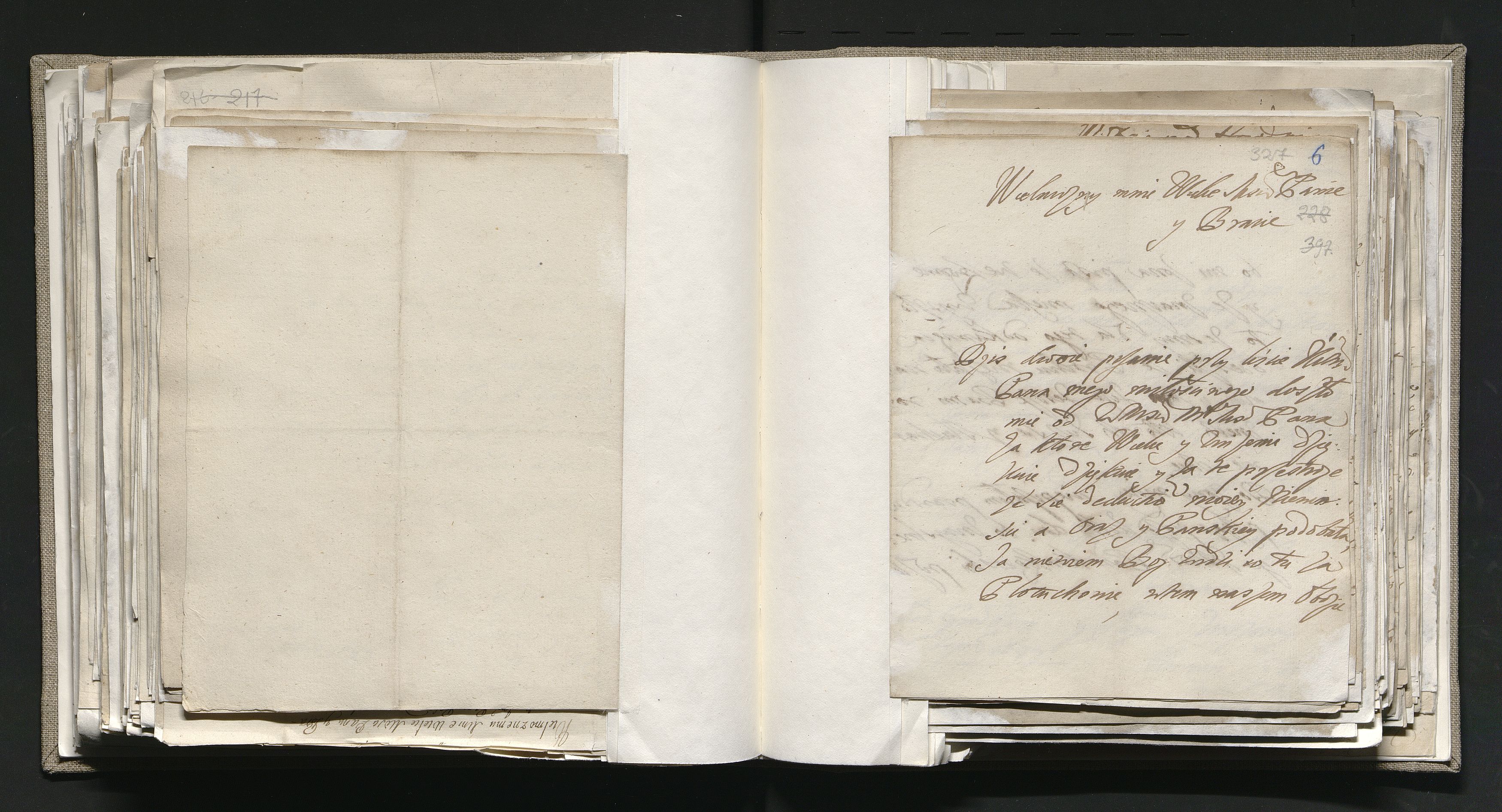 1_335_0_0_163-1_0200