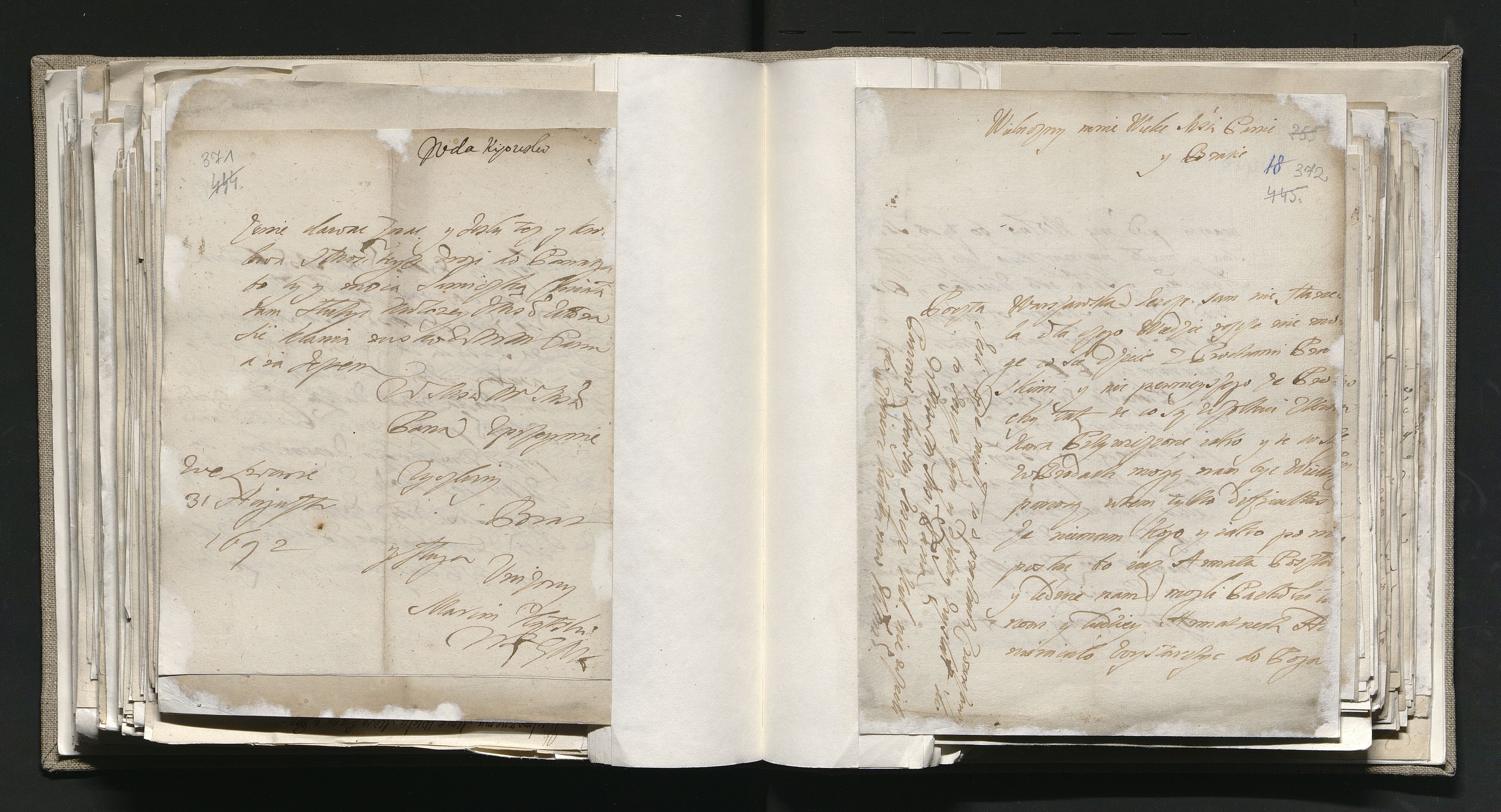 1_335_0_0_163-1_0224