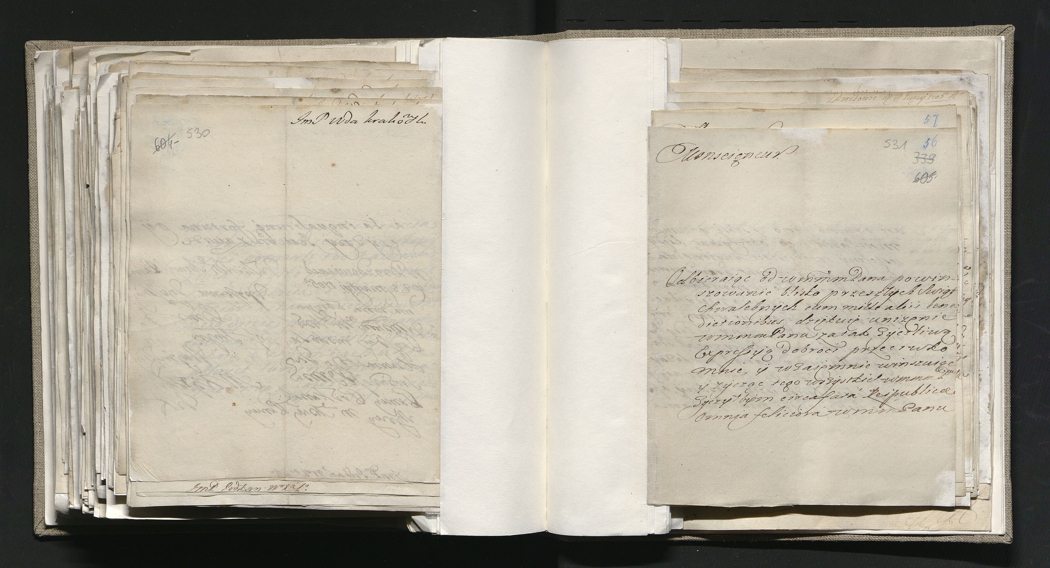 1_335_0_0_163-1_0308