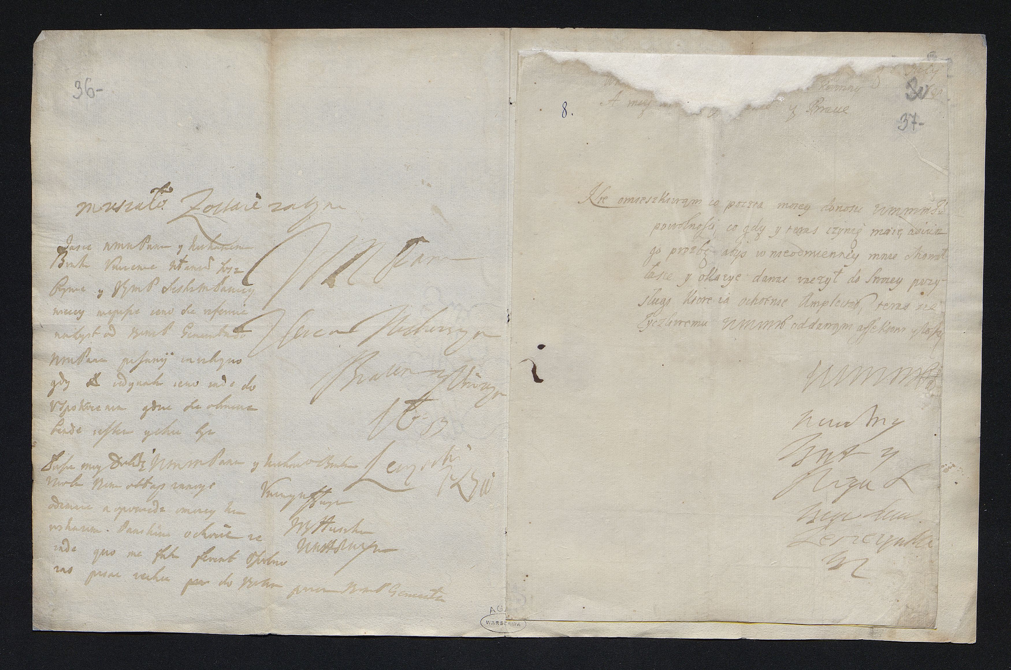 1_335_0_0_163-2_0019