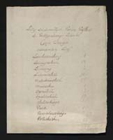 1_335_0_0_163-2_0001