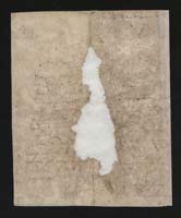 1_335_0_0_163-2_0198