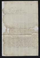 1_335_0_0_163-2_0243