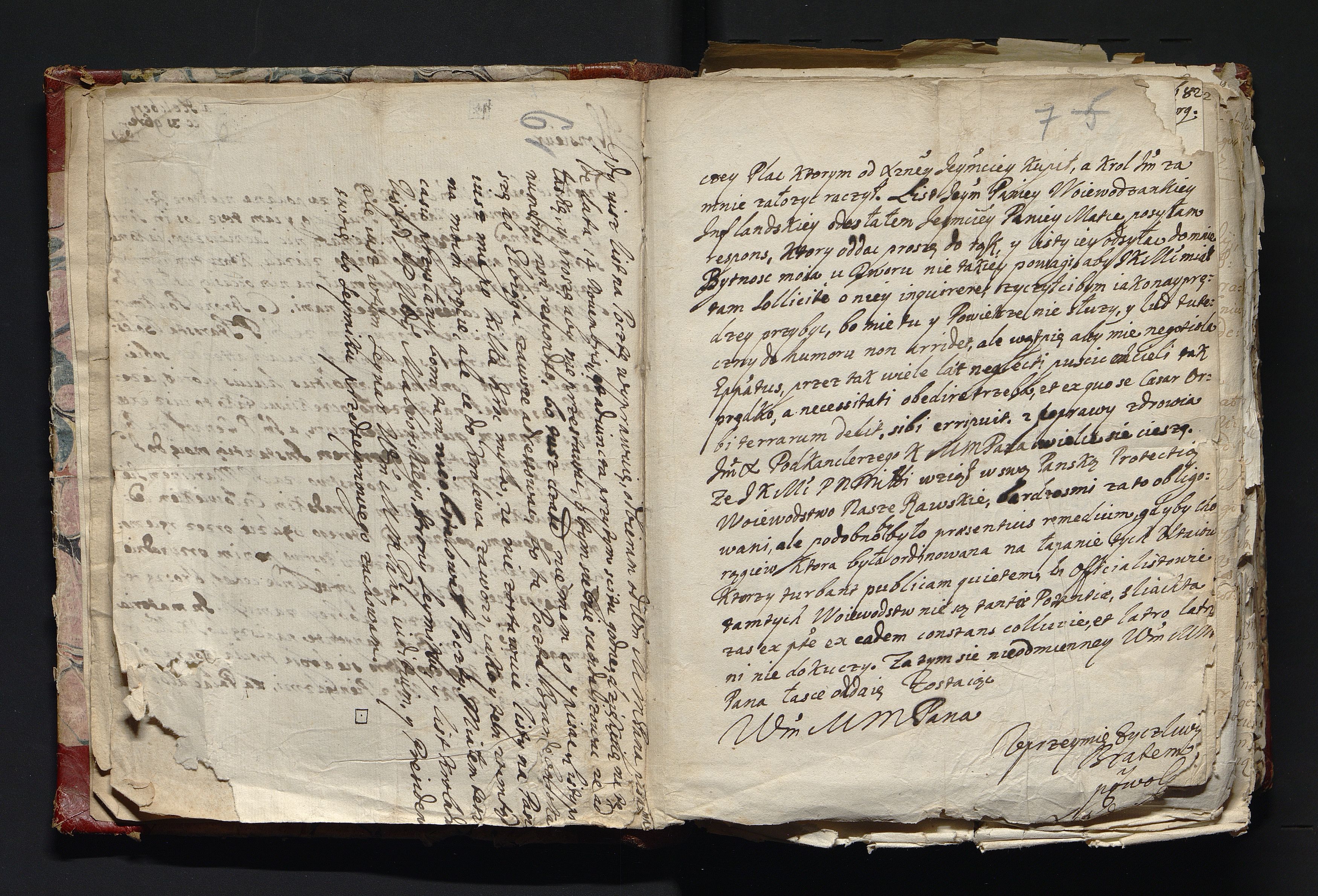 1_335_0_0_163-3_0004