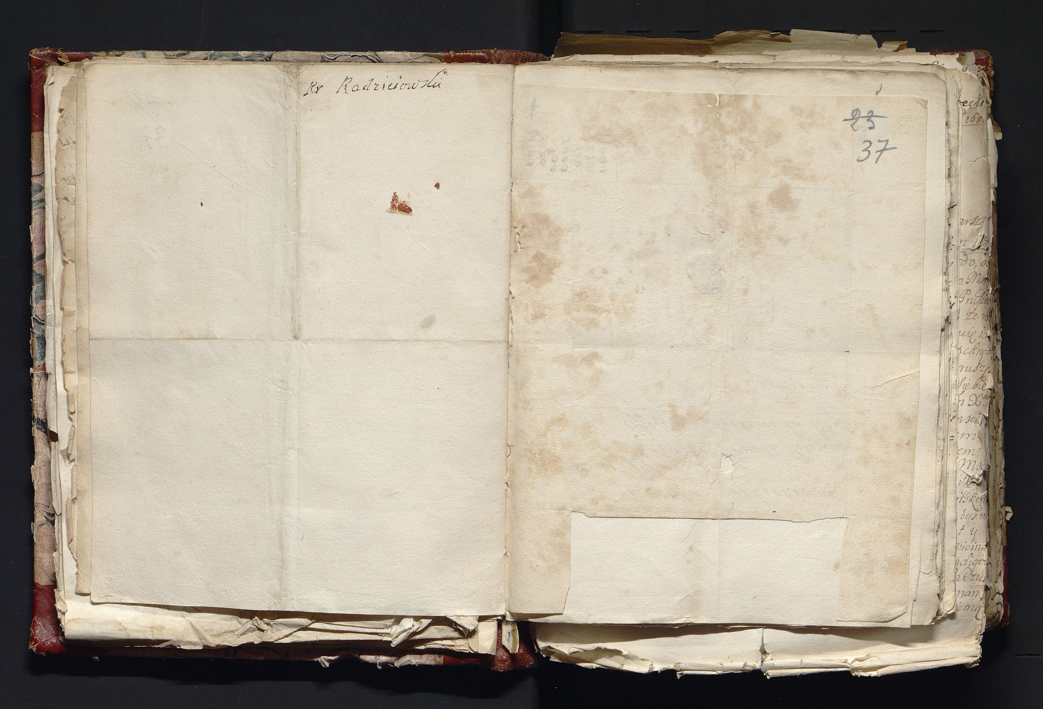 1_335_0_0_163-3_0019