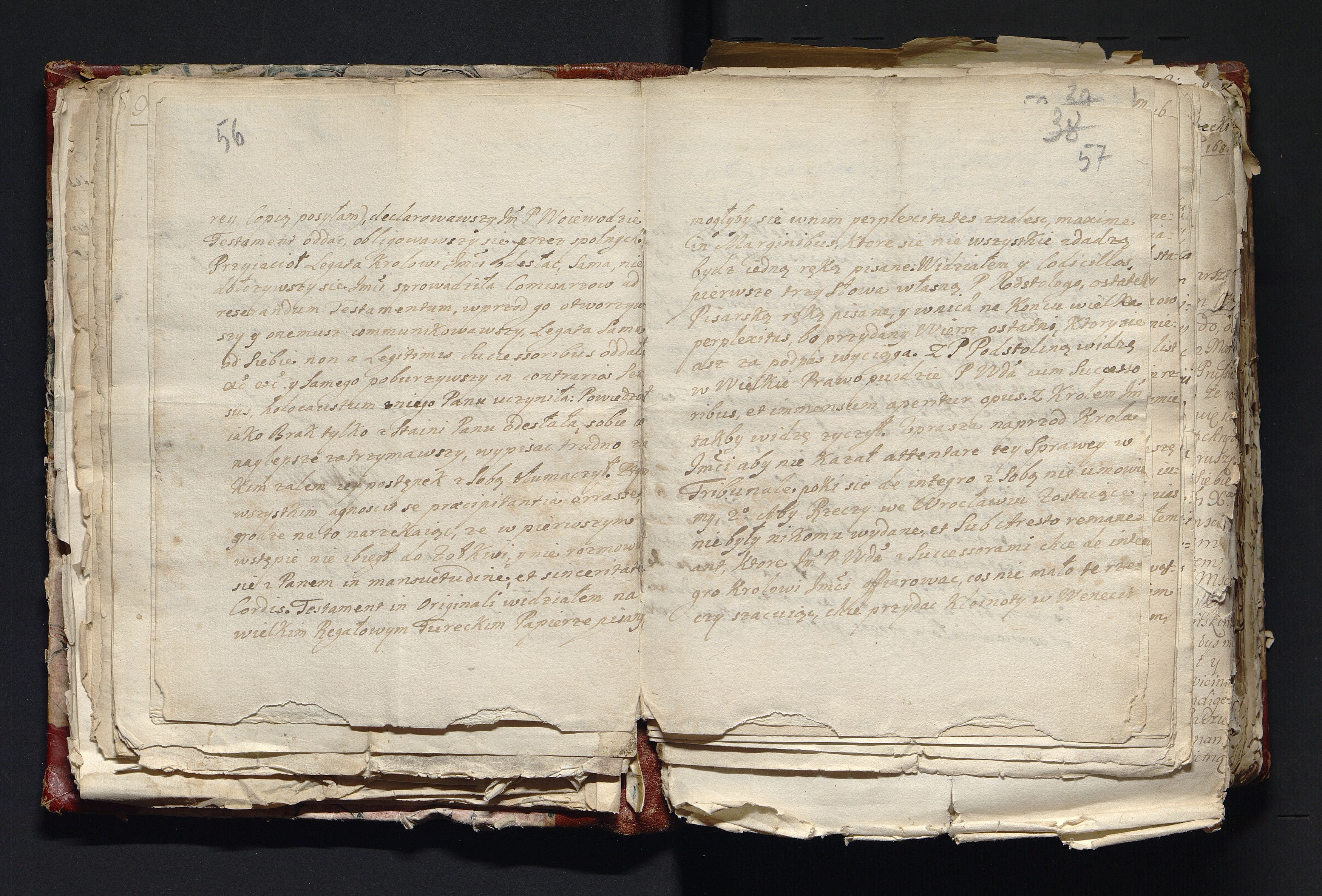 1_335_0_0_163-3_0030