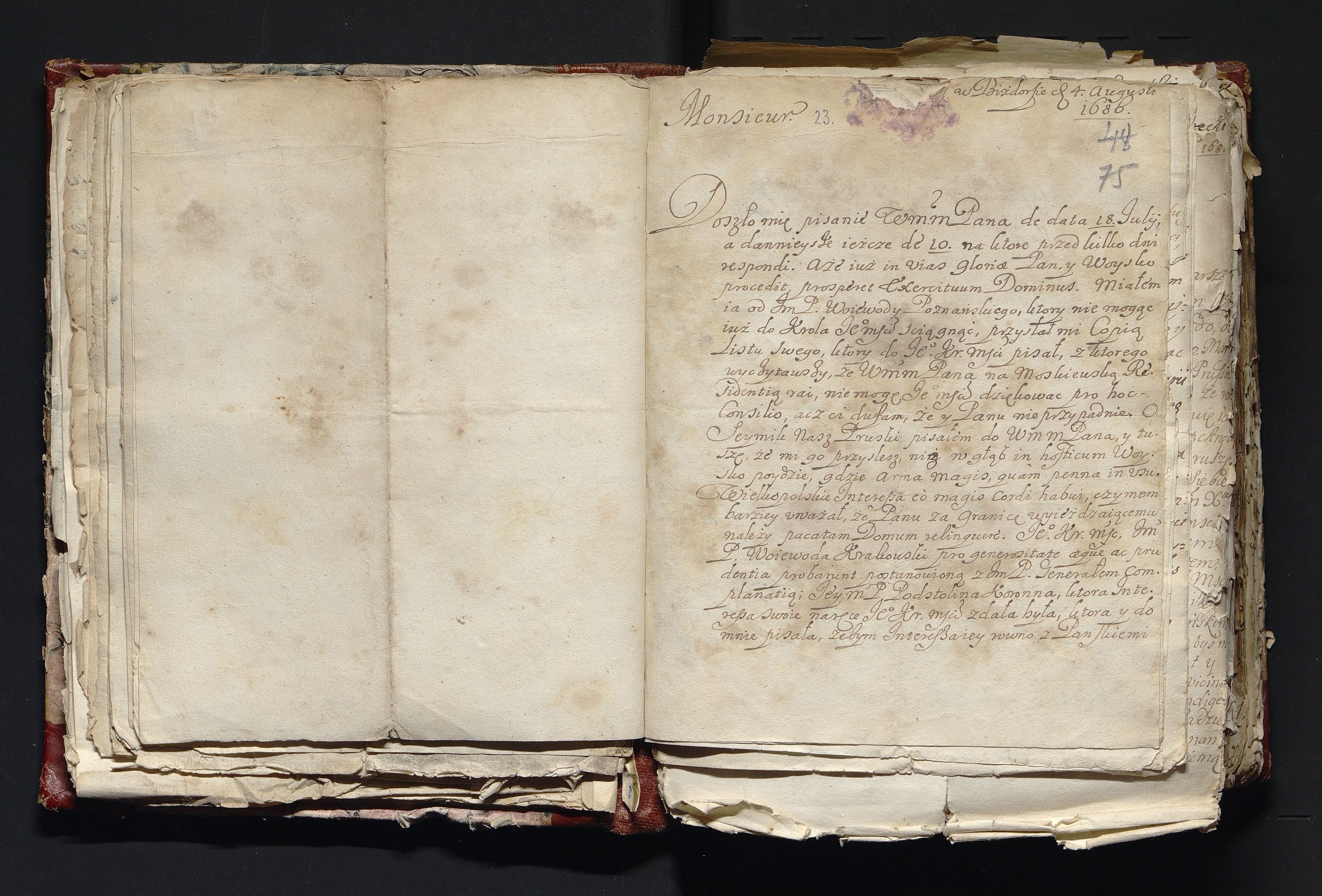 1_335_0_0_163-3_0040