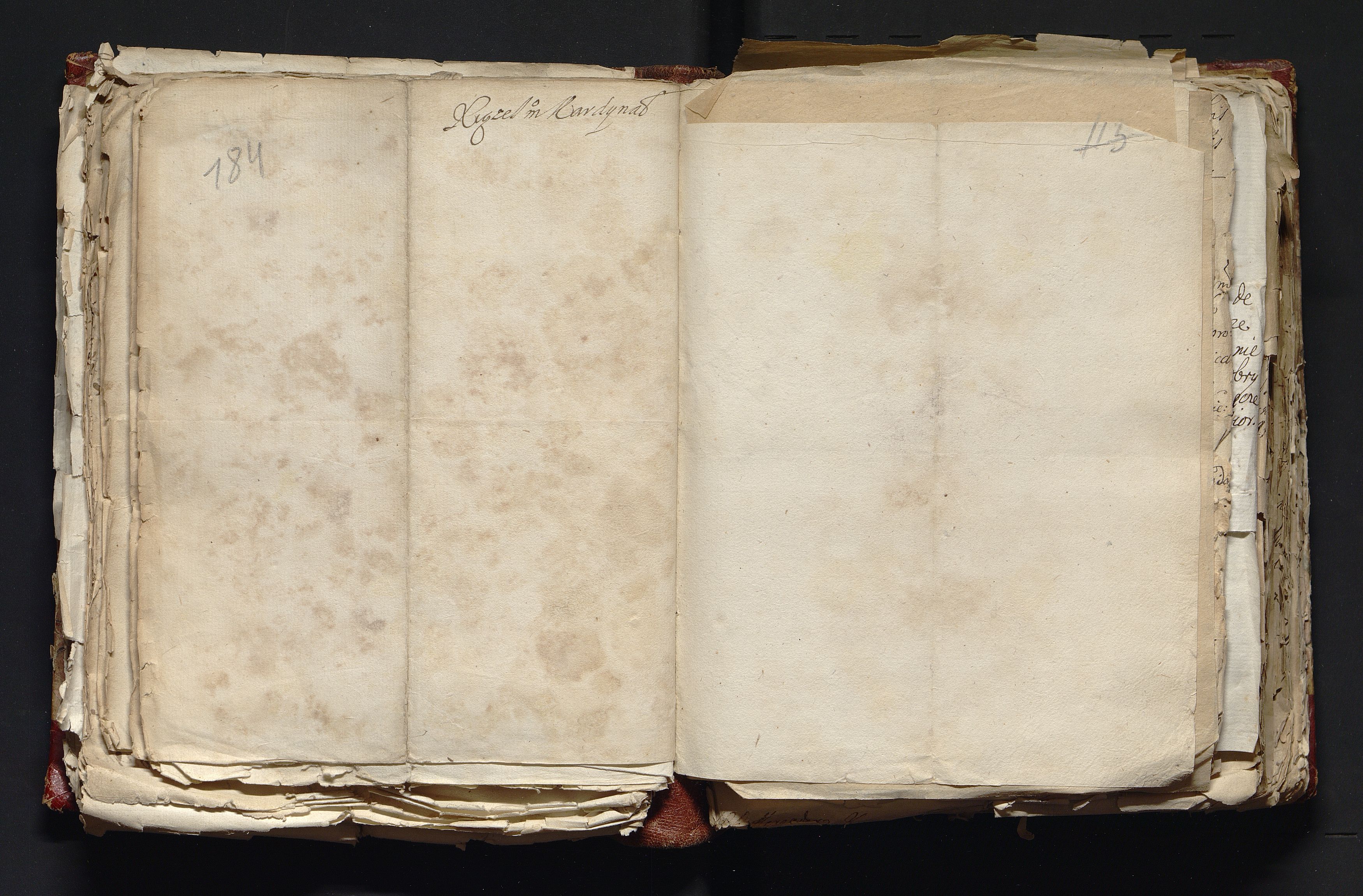 1_335_0_0_163-3_0095