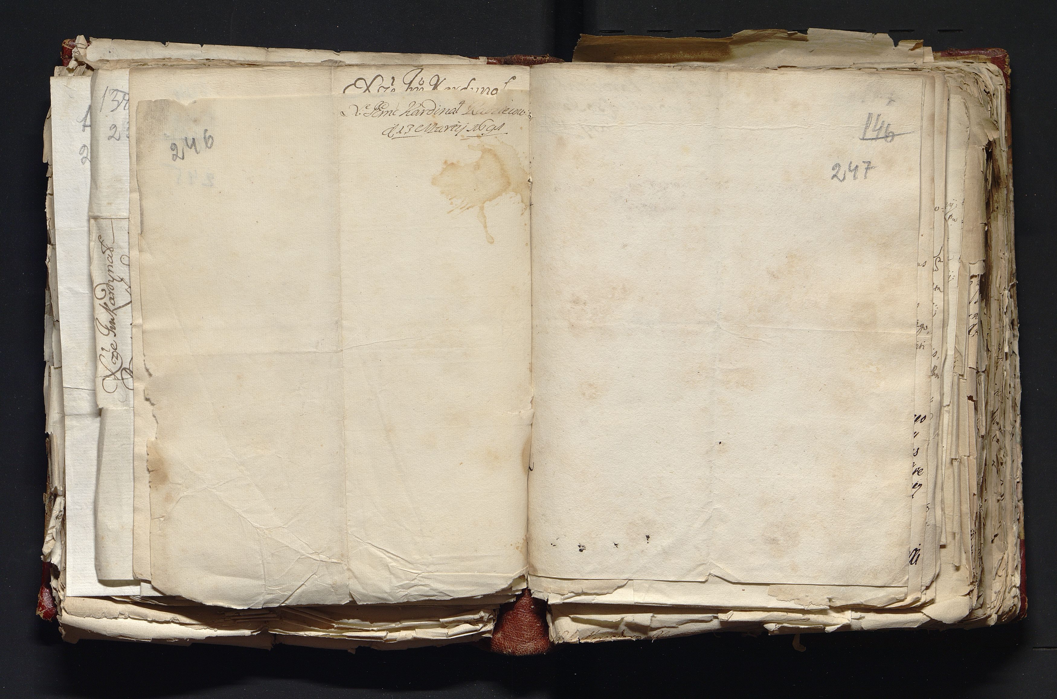 1_335_0_0_163-3_0124