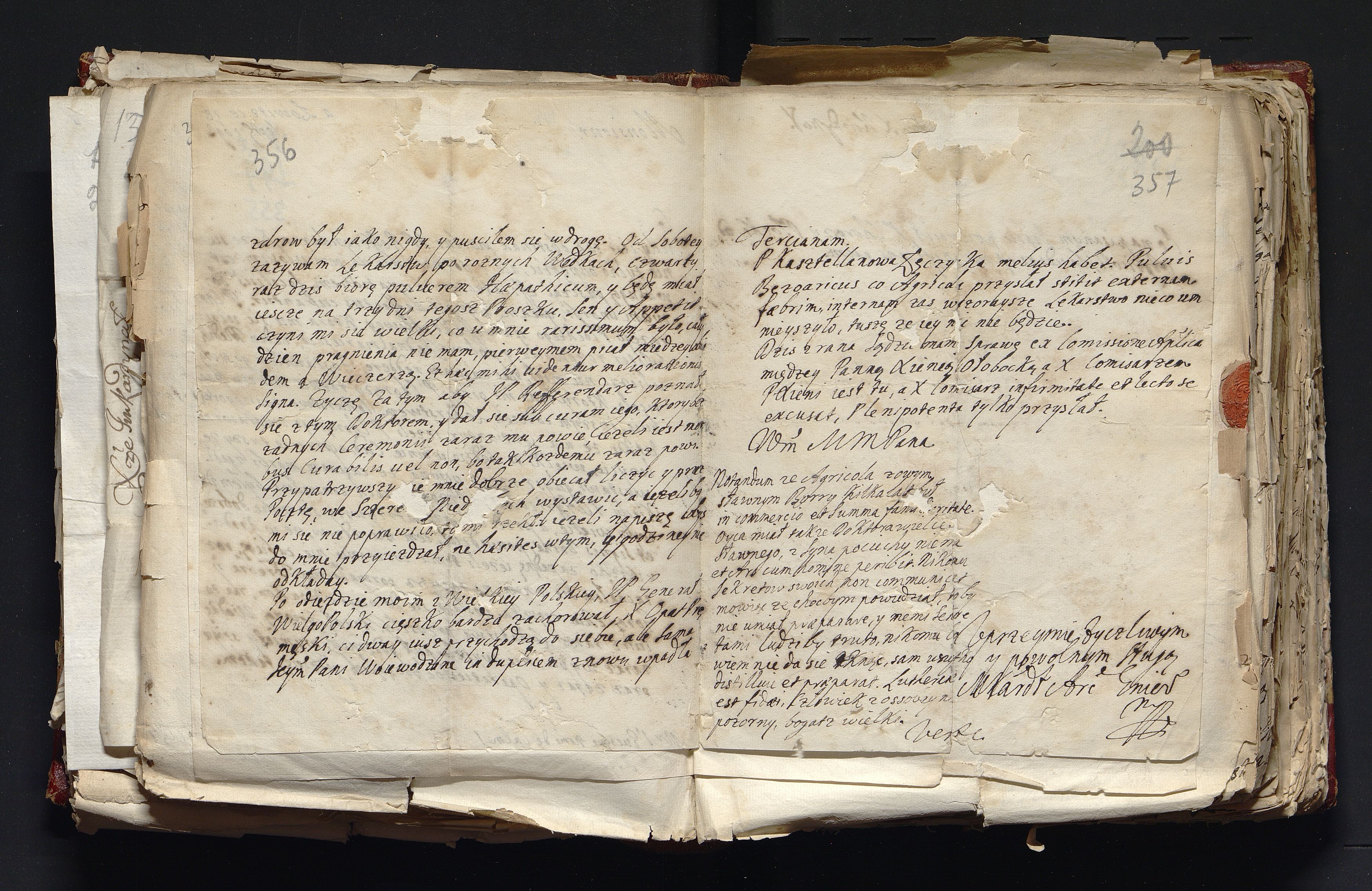 1_335_0_0_163-3_0179