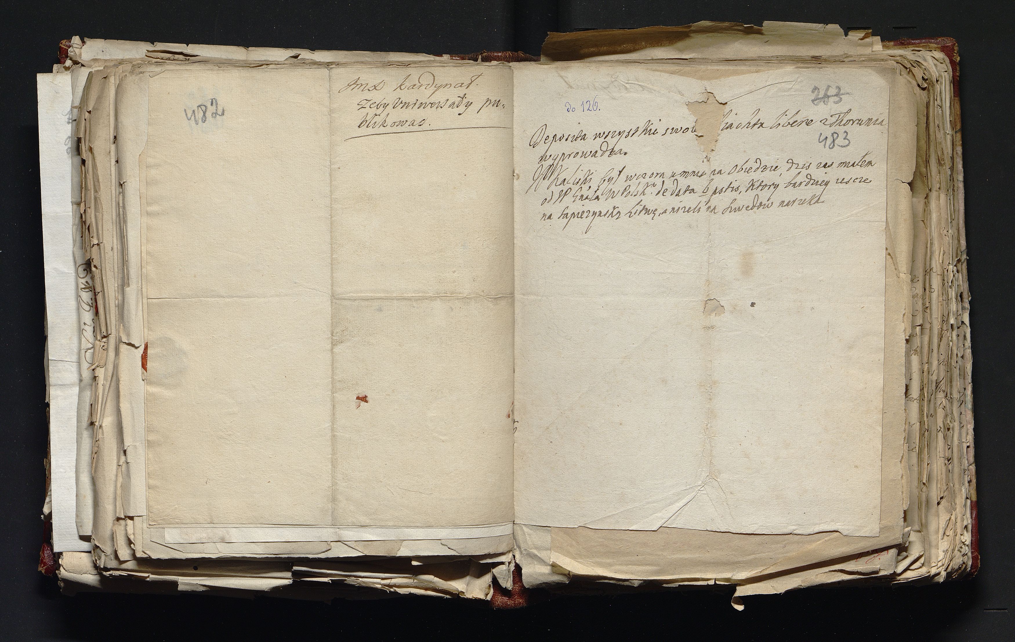 1_335_0_0_163-3_0241