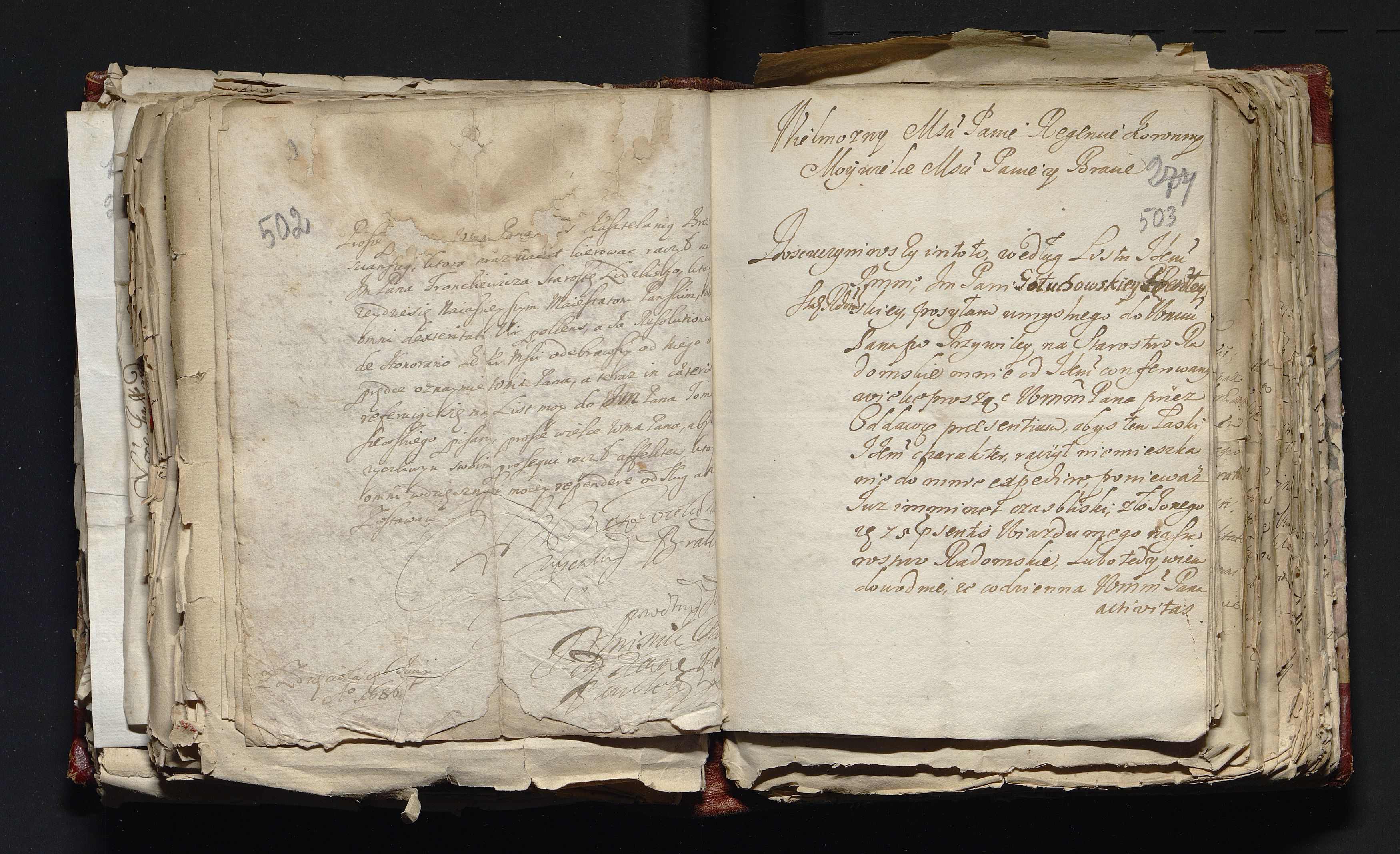 1_335_0_0_163-3_0251