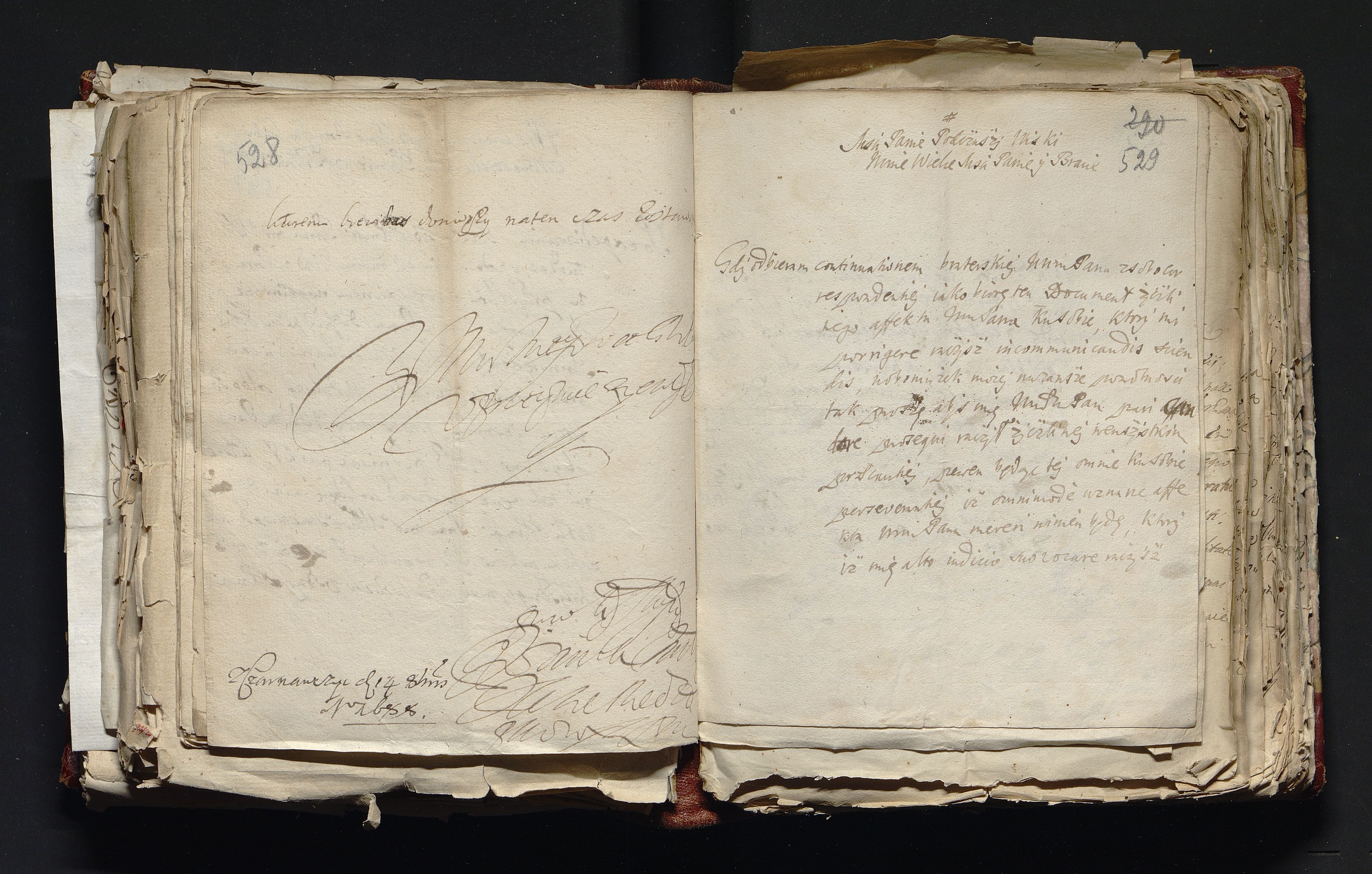 1_335_0_0_163-3_0265