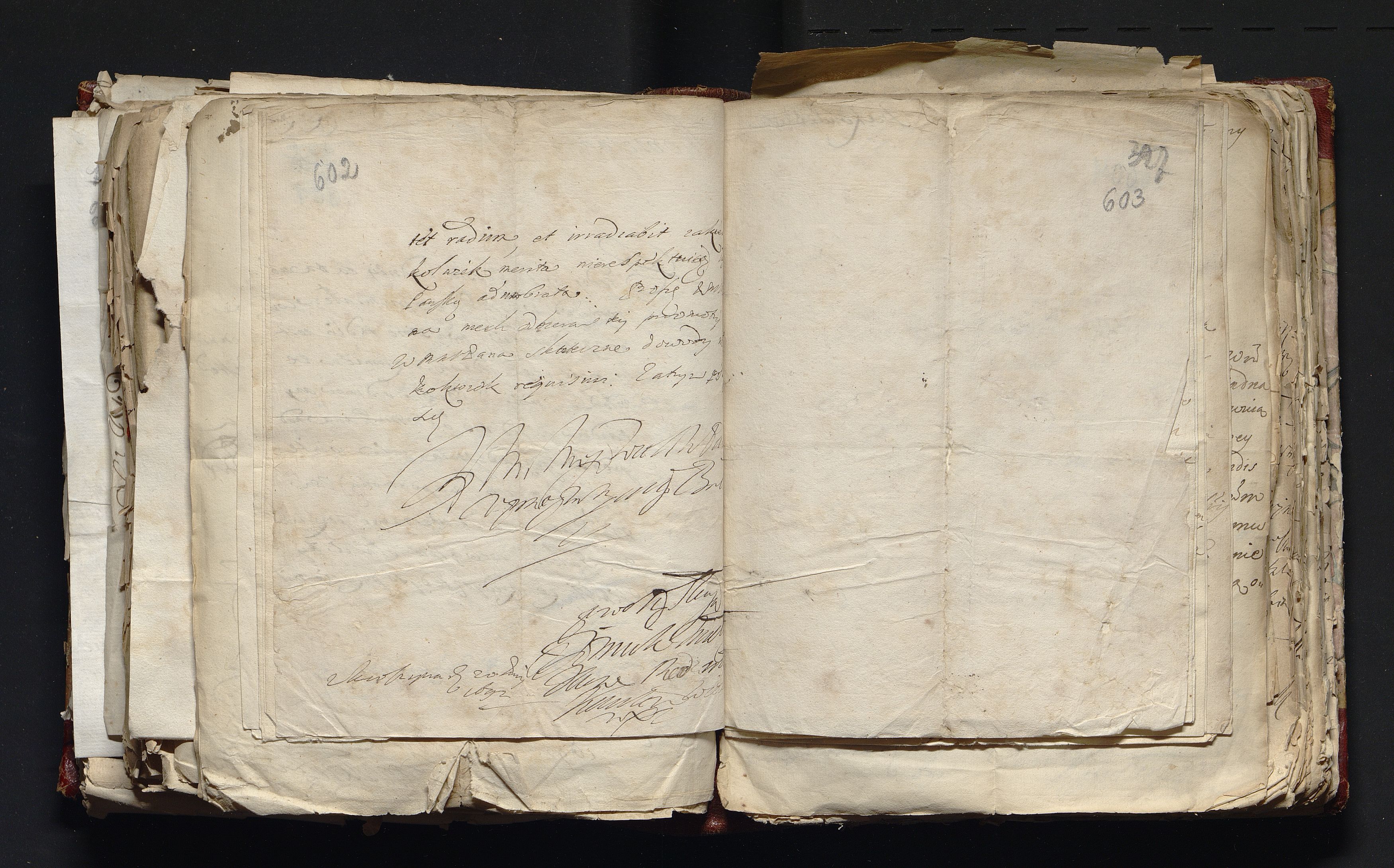 1_335_0_0_163-3_0302