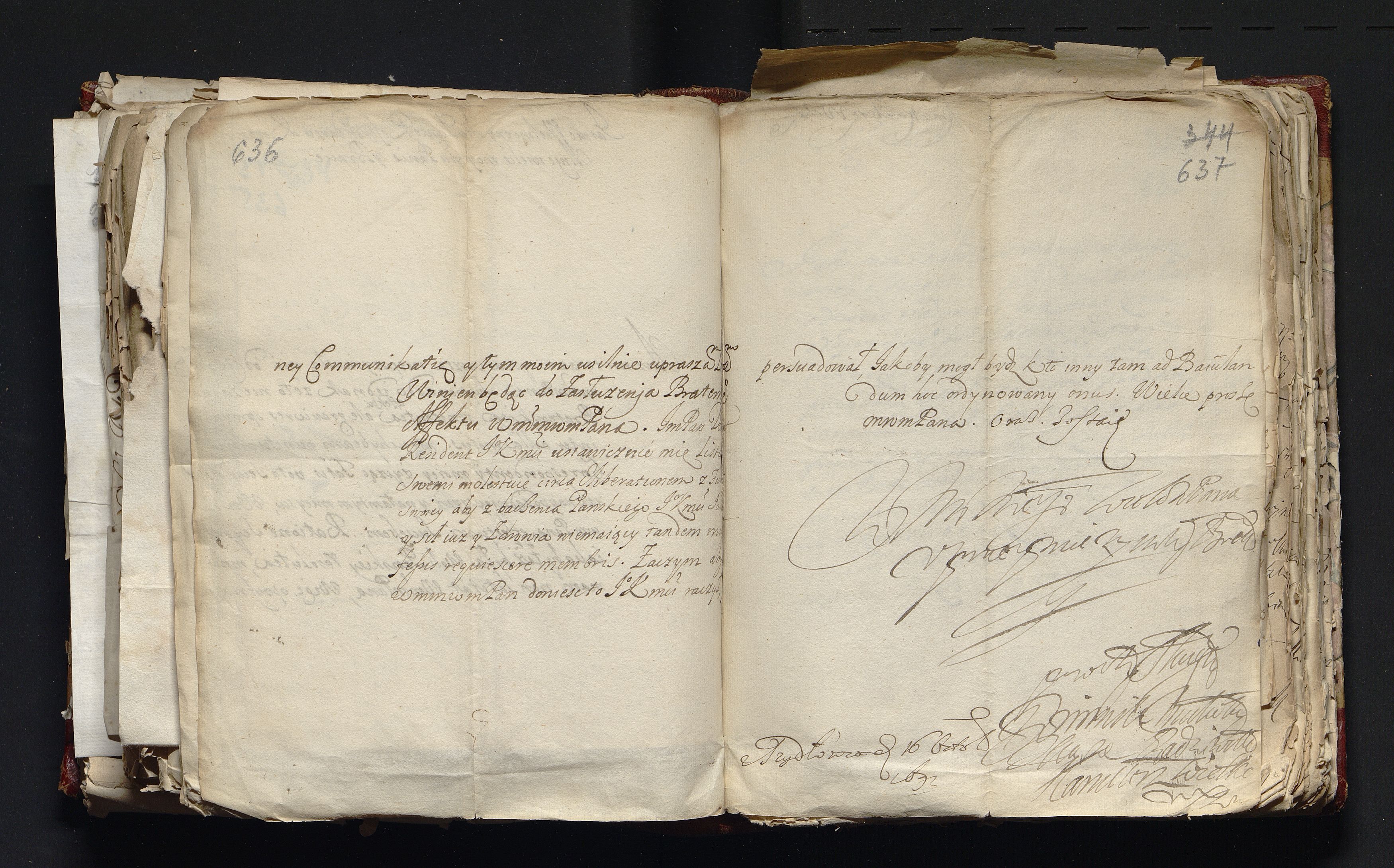 1_335_0_0_163-3_0319