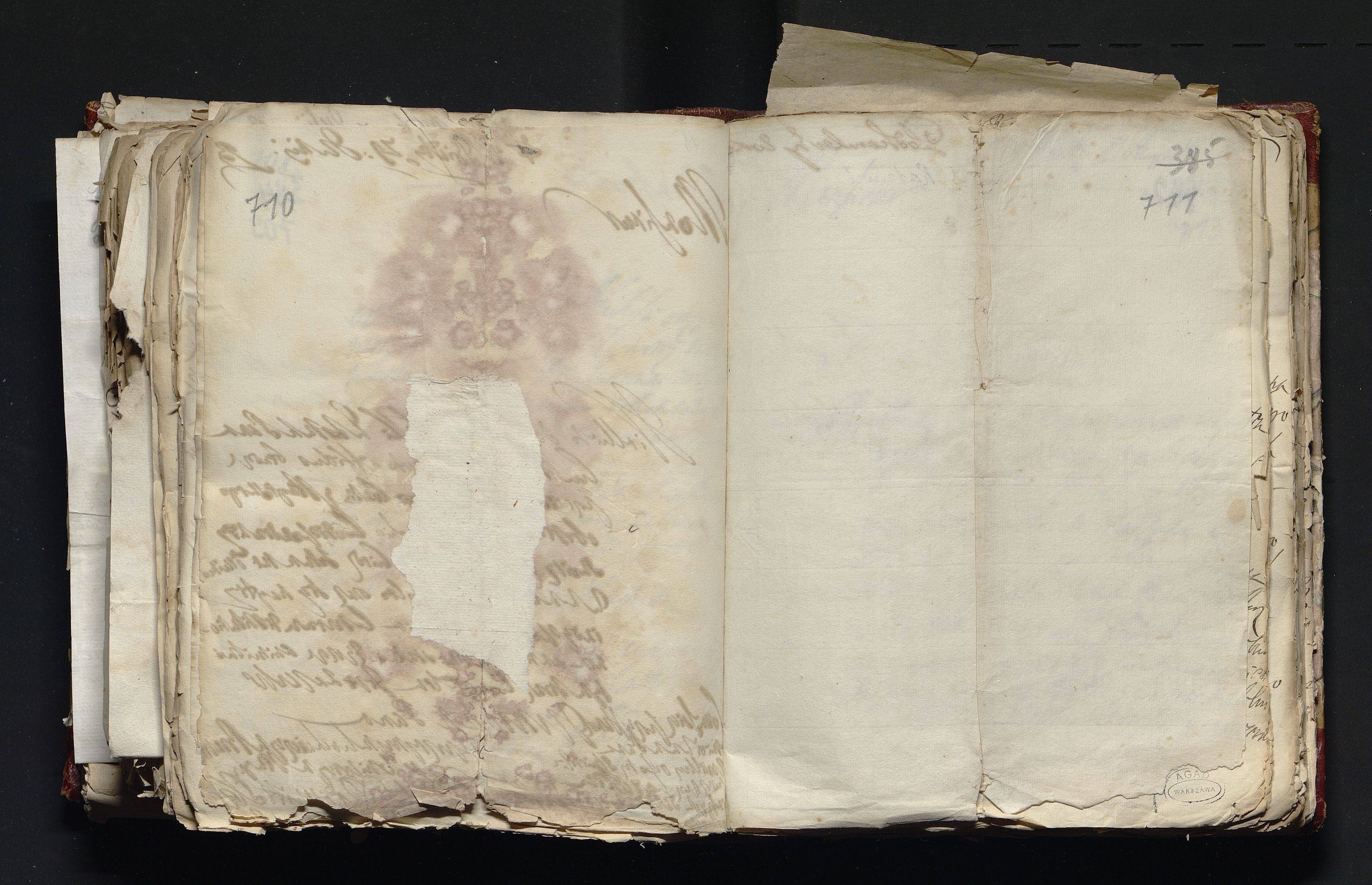 1_335_0_0_163-3_0358