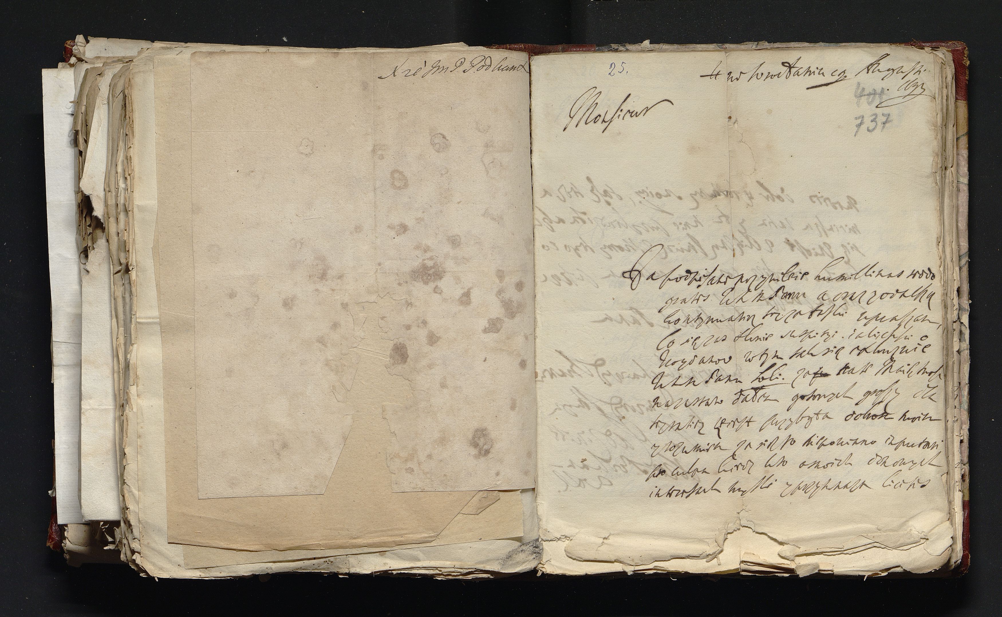 1_335_0_0_163-3_0372