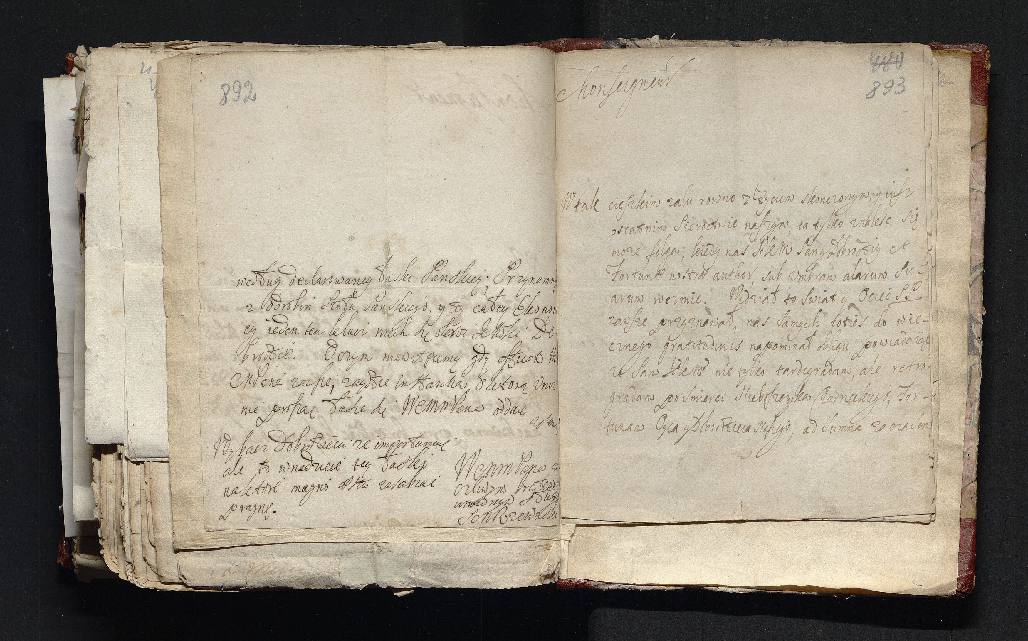 1_335_0_0_163-3_0446